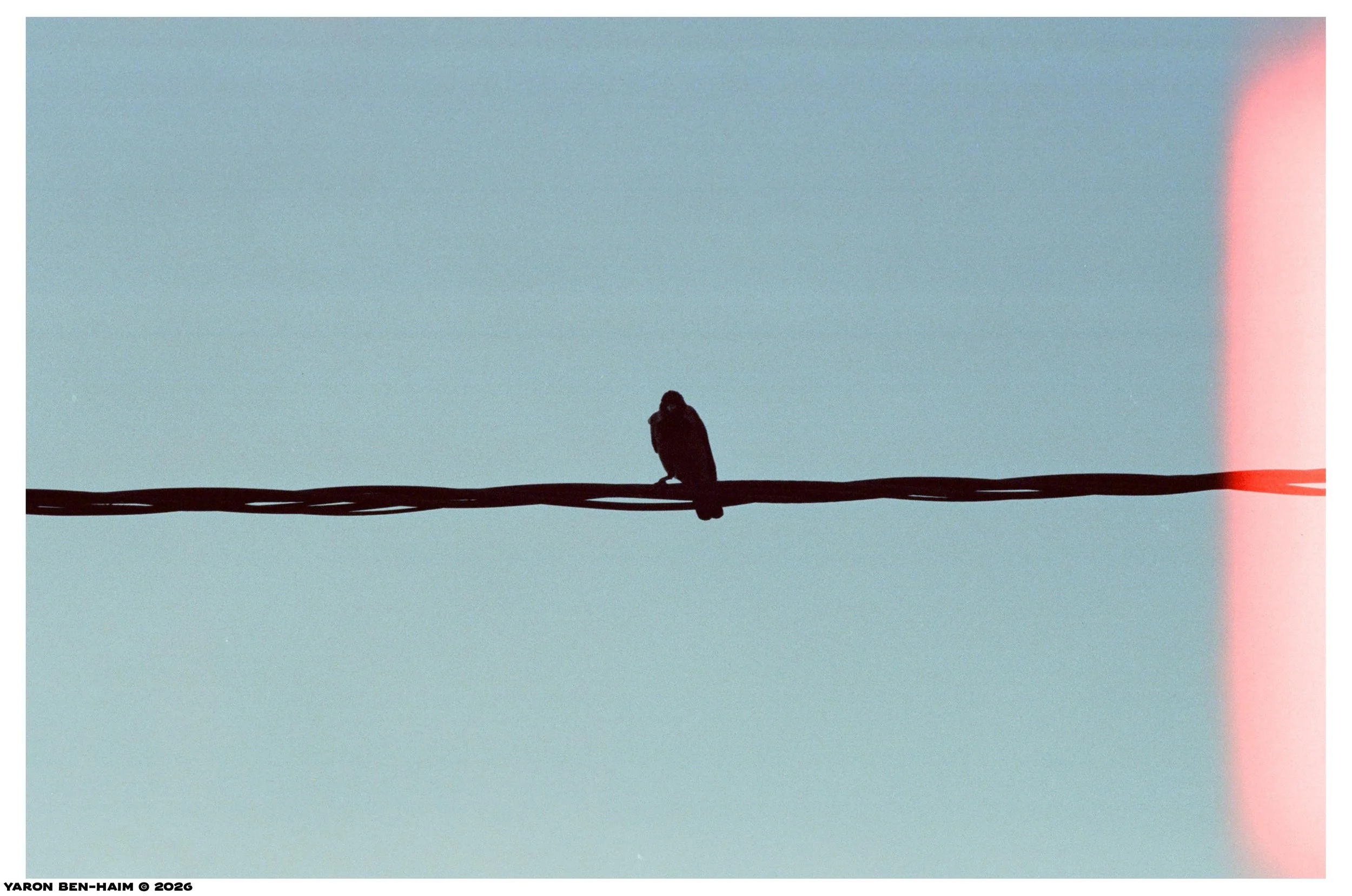 cinestill800t_r4_sep_oct_2026_n2_web.jpg