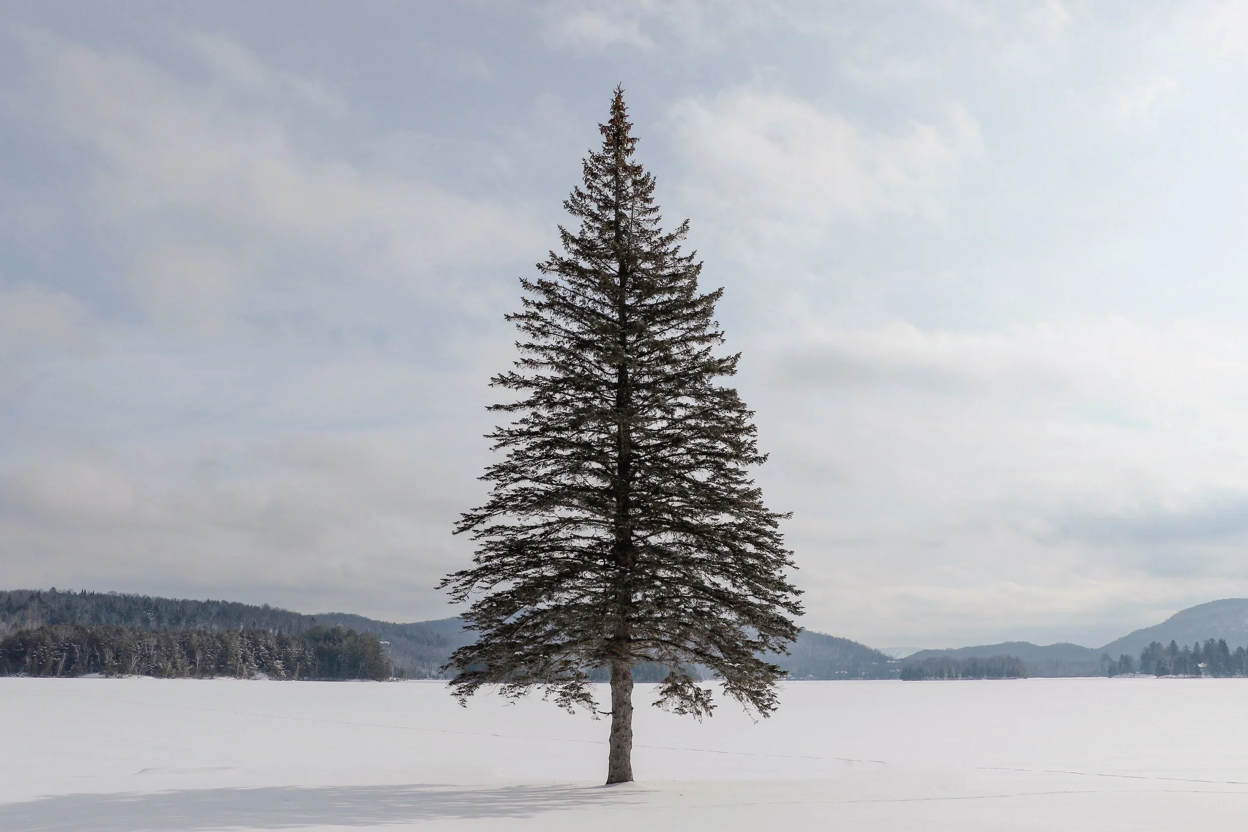 Silent Christmas Walkthrough