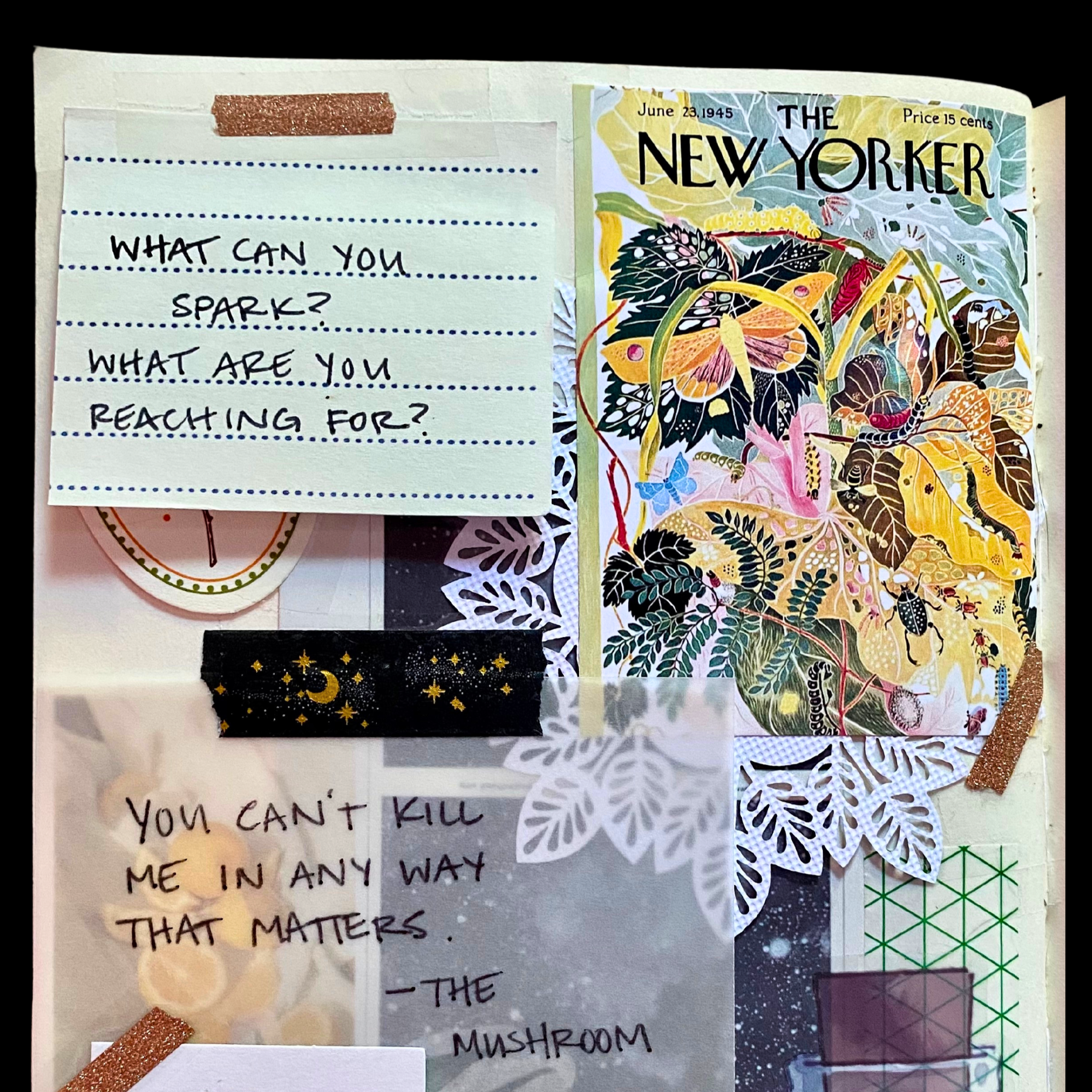 You Can't Kill Me - The Mushroom.png