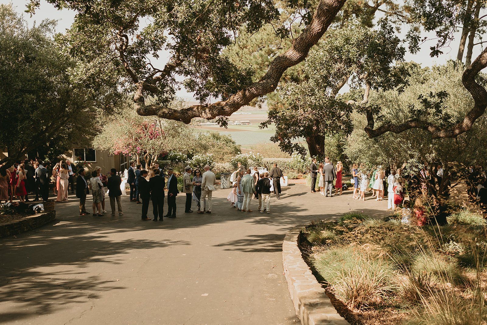 Sarah+Liamreceptionthruoak2_websize.jpg