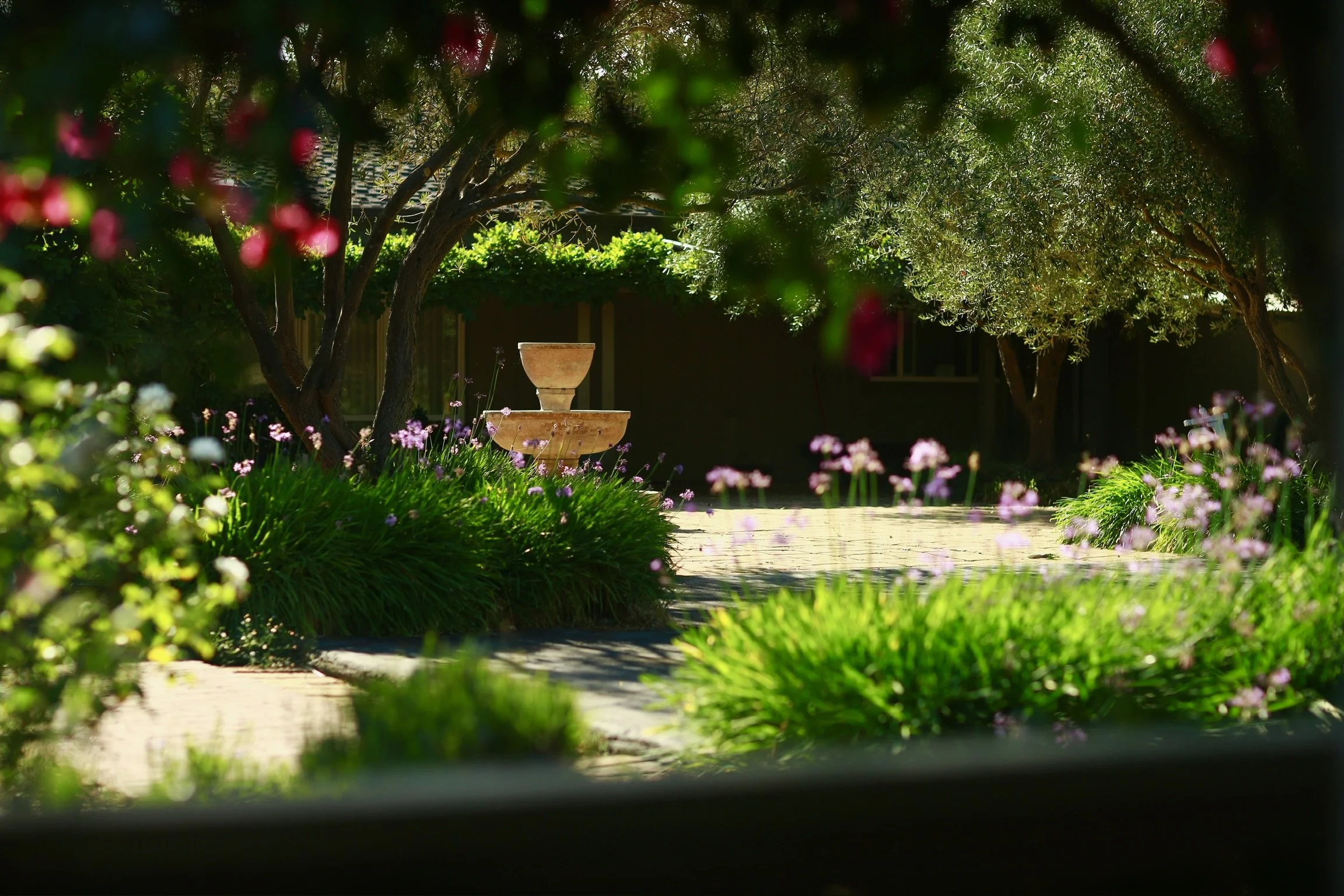 A peaceful adobe patio with a stone fountain, lush green plants, pink flowers, trees, and a shaded walkway.