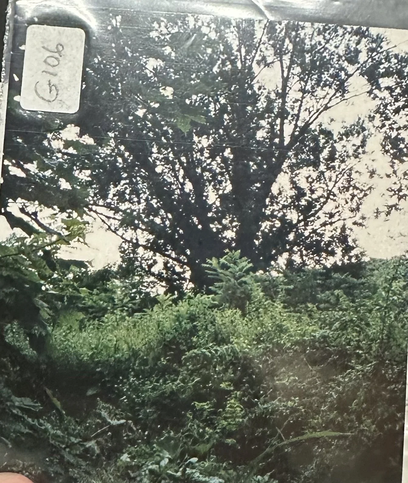 "Where Jobamah Gunn House was (across the street from Norman Anderson's house"