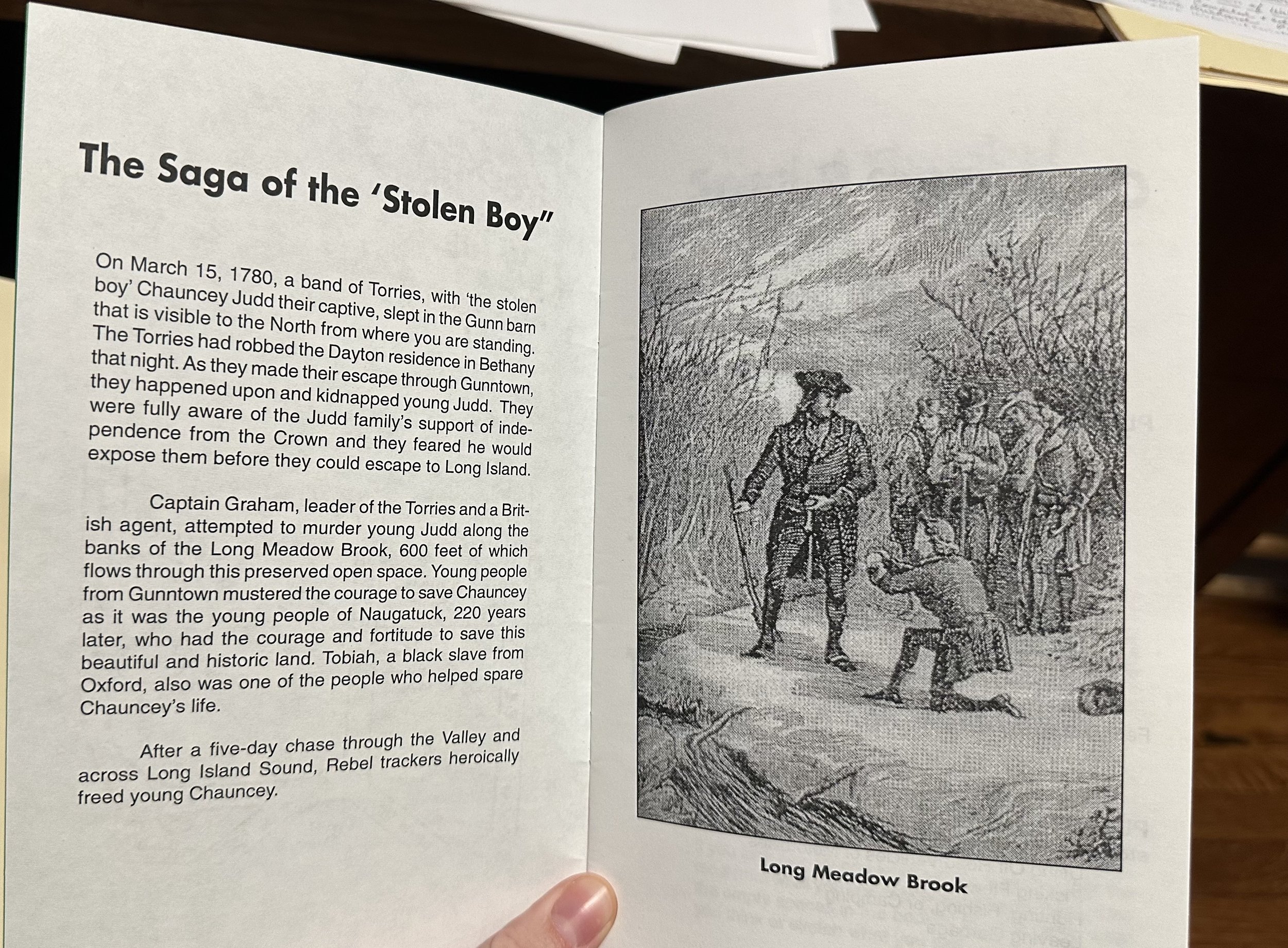 Source: Passive Green Open Space Interpretive Trail Guide - Gunntown Rd. Naugatuck, CT