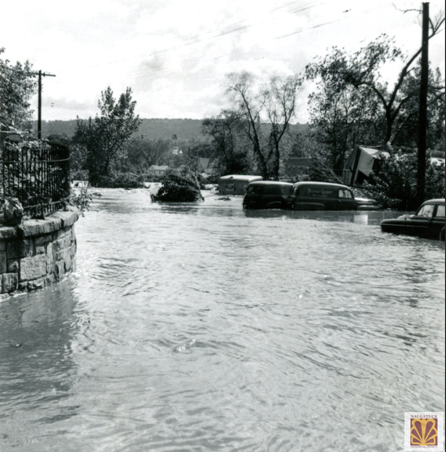 Flood196