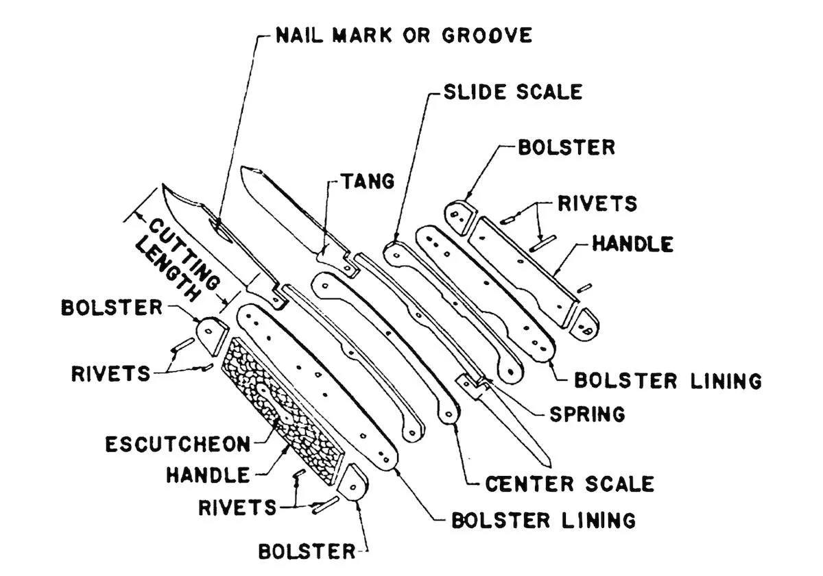 This vintage illustration details the various parts of a jackknife assembled during the manufacturing process.