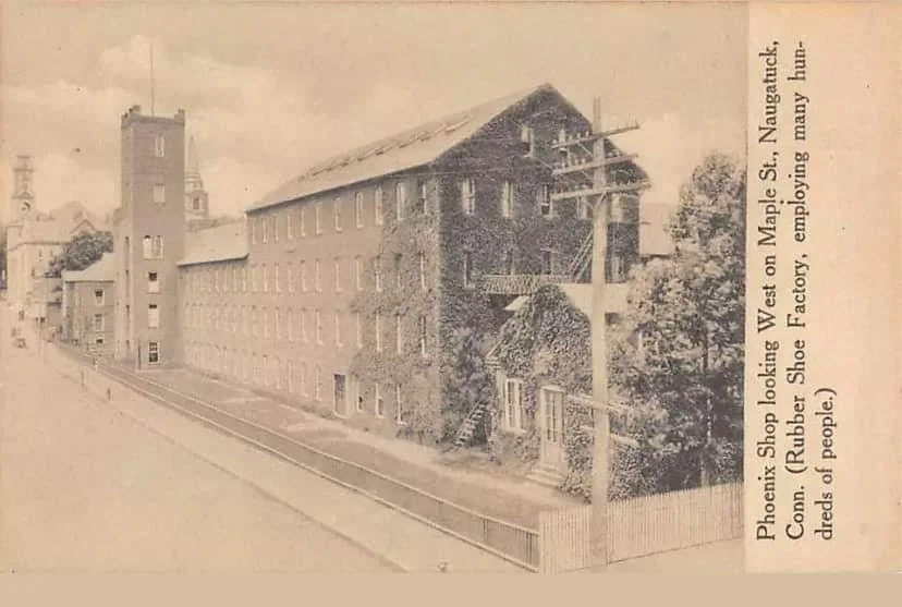Phoenix Shop - Maple St.