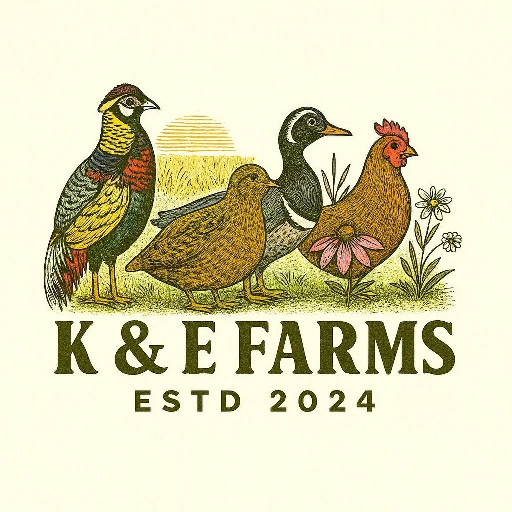 K & E Farms