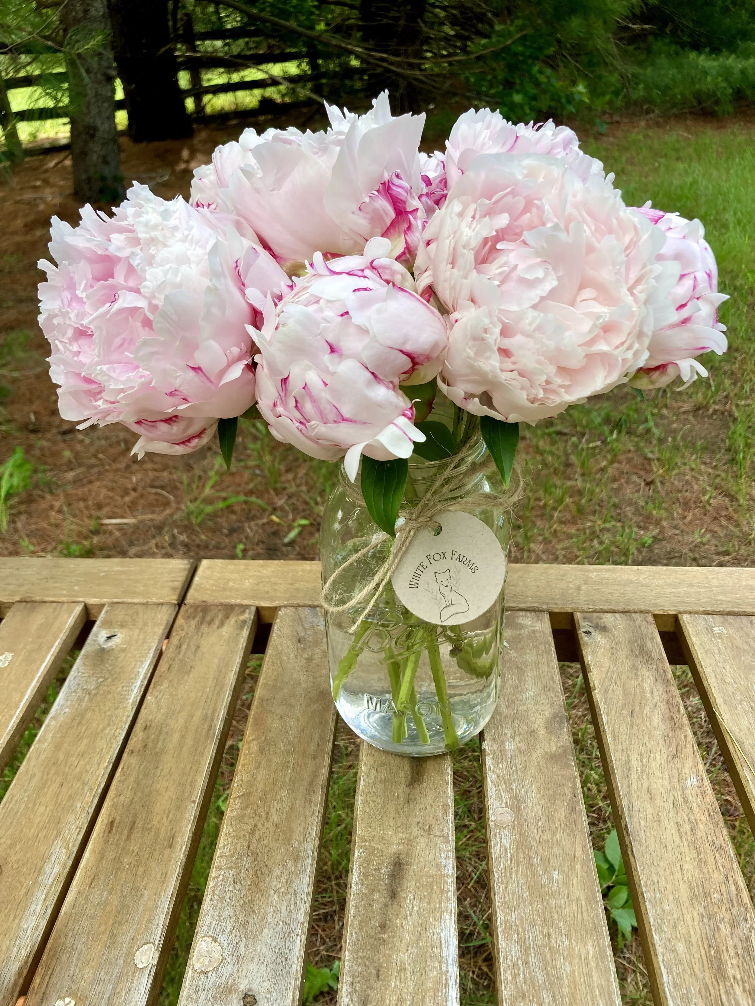 2026 Peony Flower Subscription