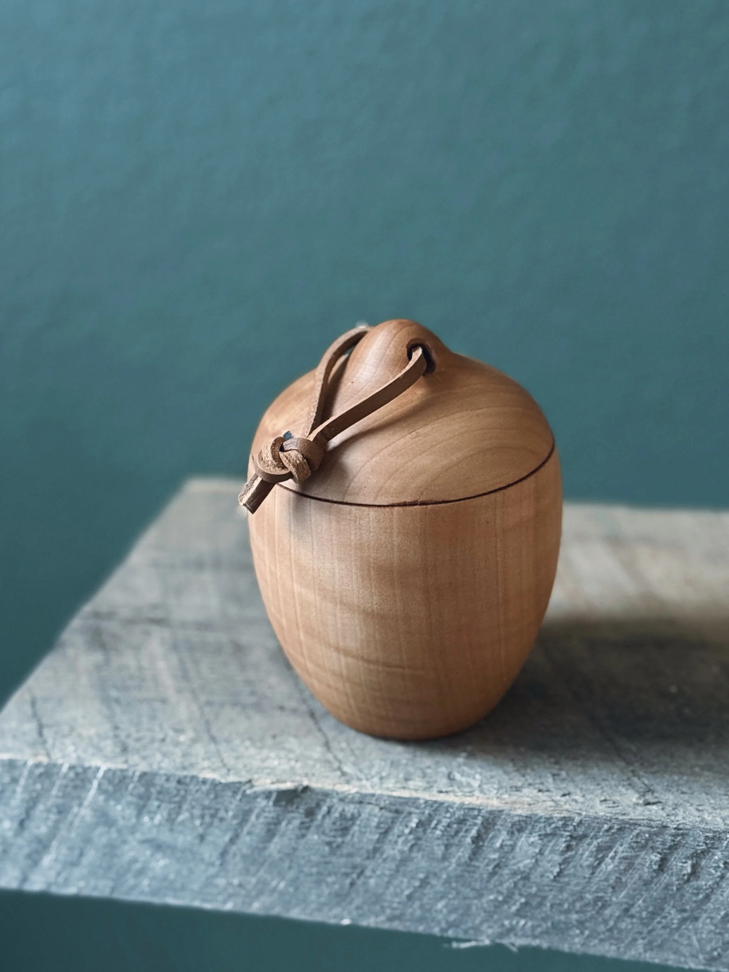 AfterlightImage 19.jpg