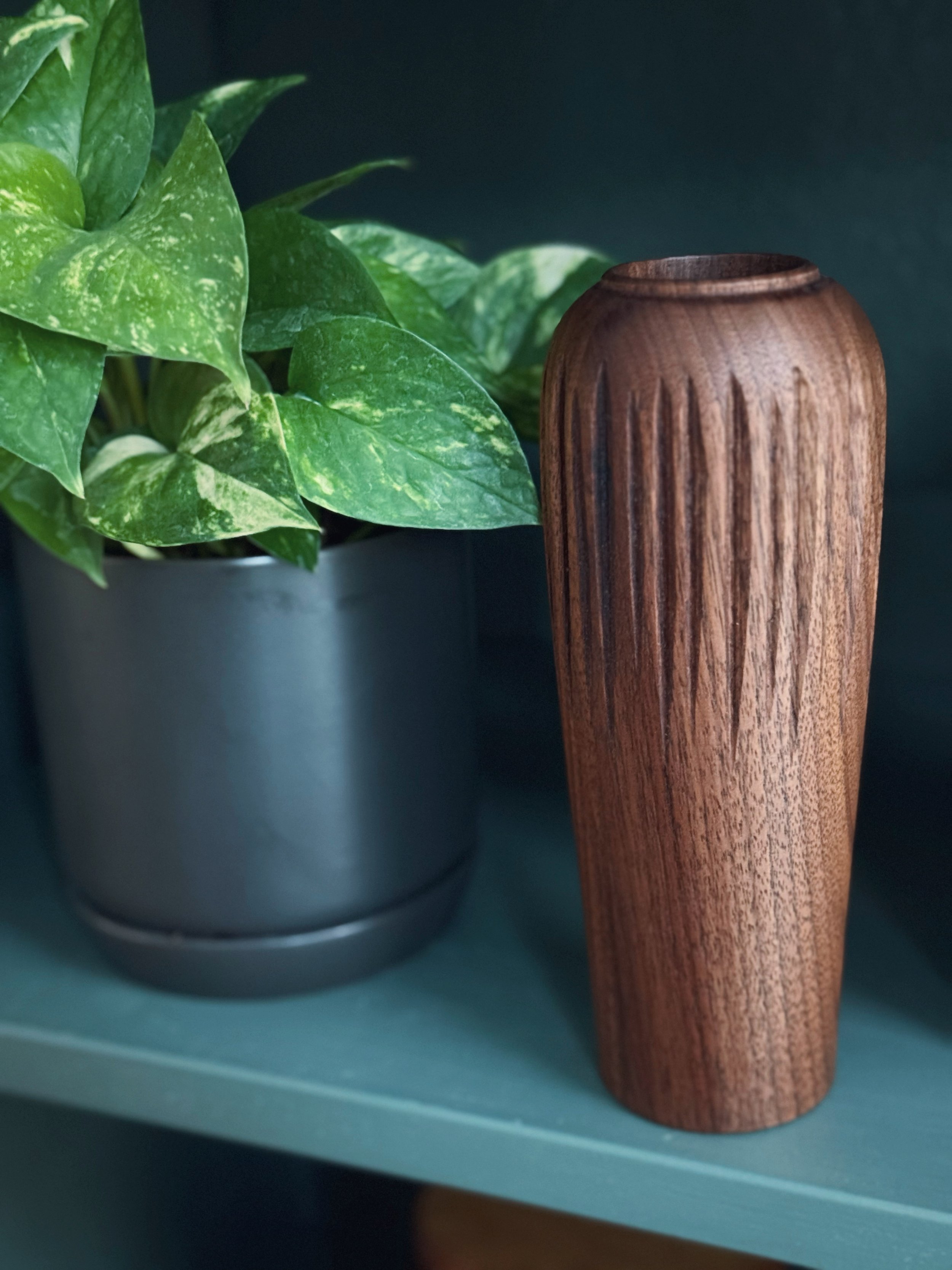 AfterlightImage 20.JPG