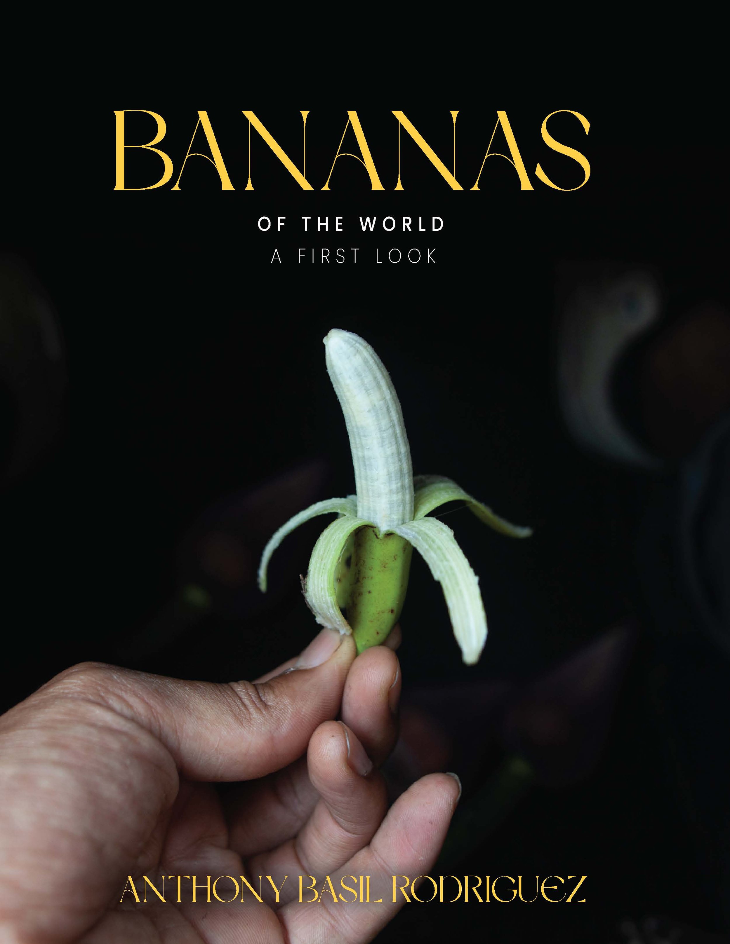BANANA COVER EXPORT_jpeg.jpg
