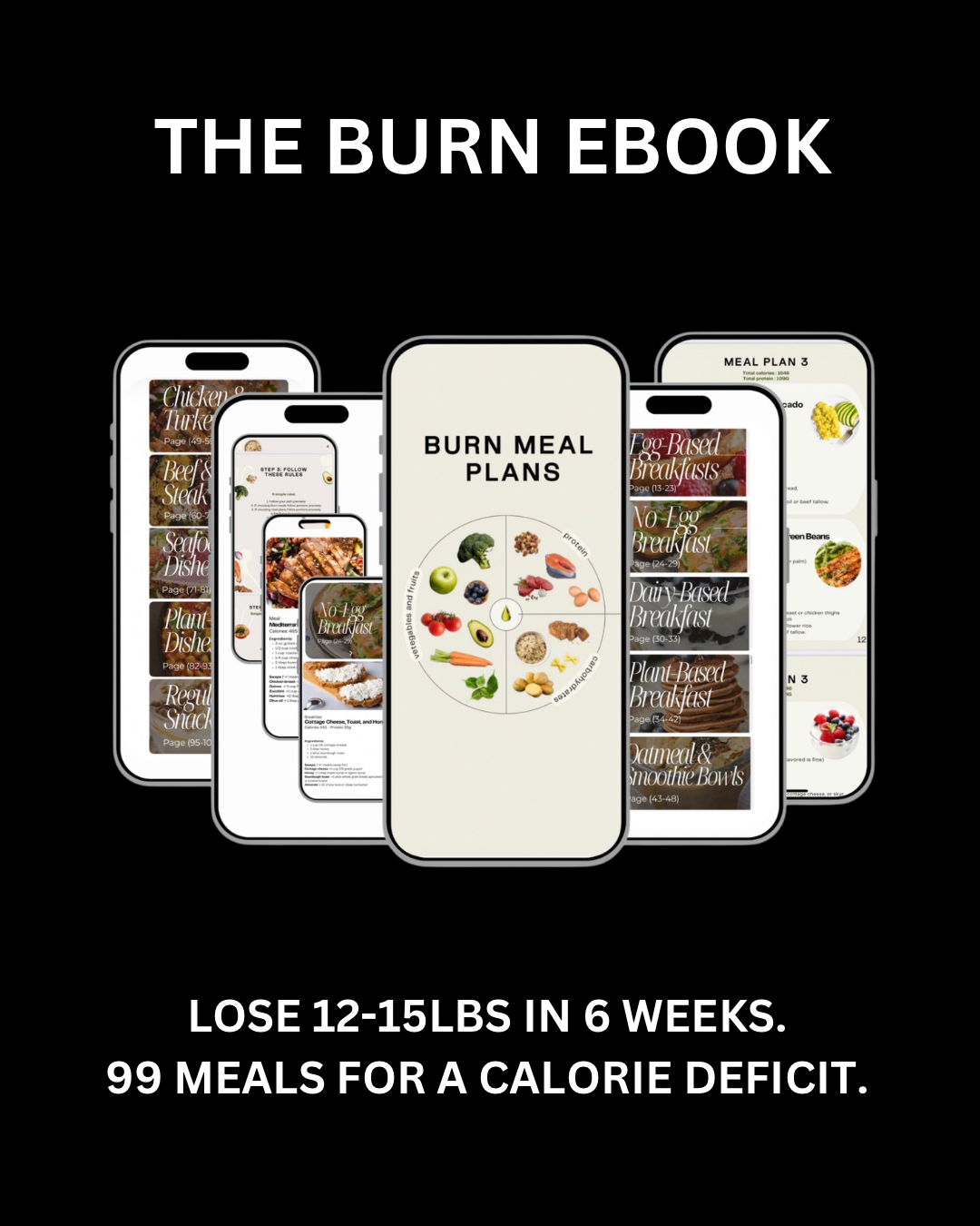 Untitled (Instagram Post (45)).png