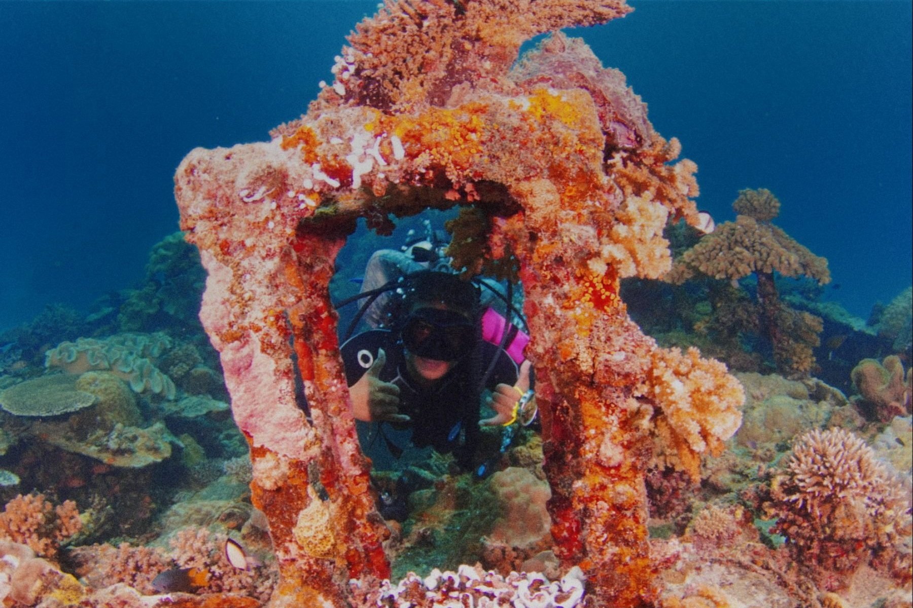 Scuba diver giving thumbs-up behind coral-covered structure underwater.