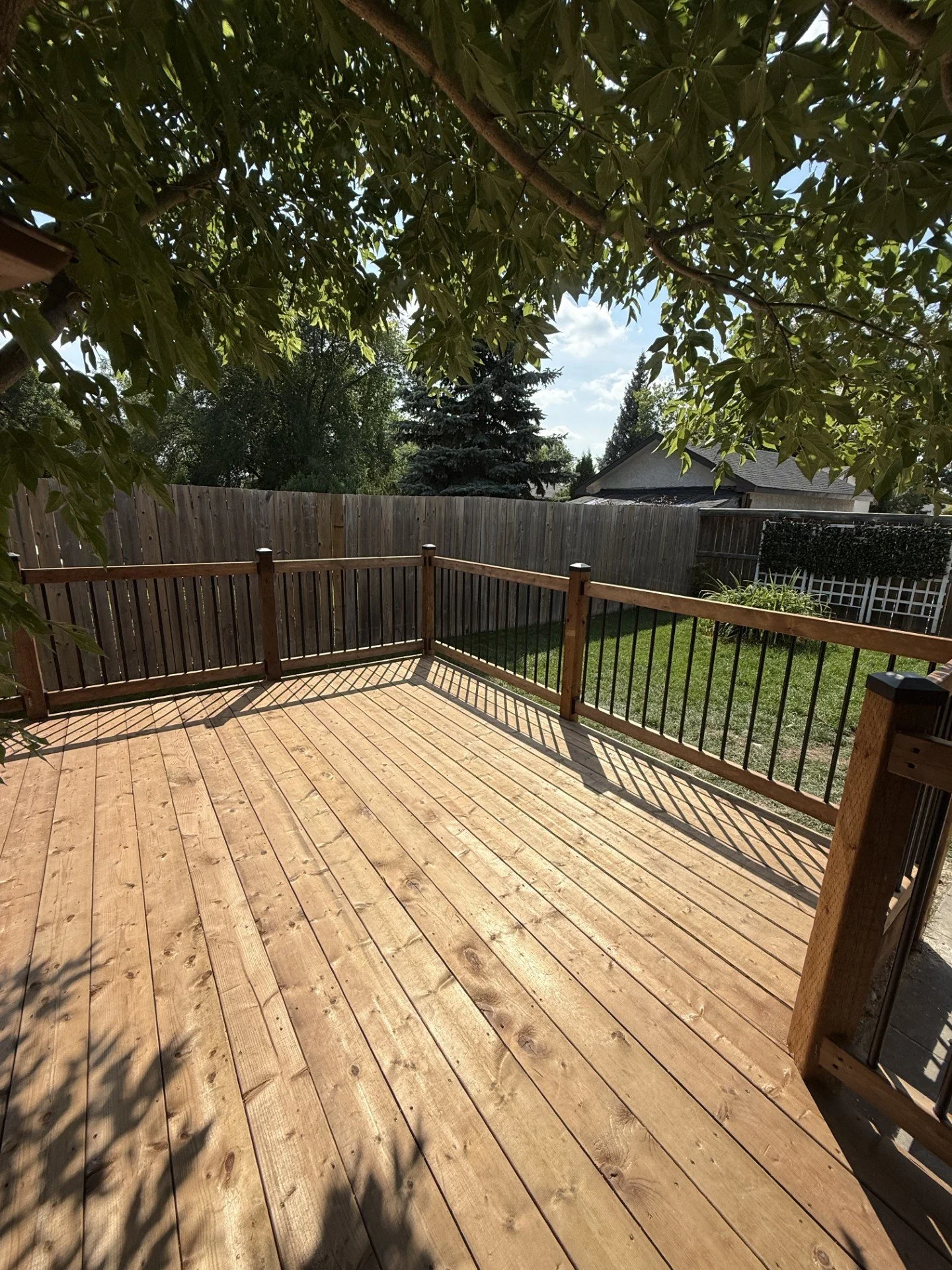 Laura fence 3.jpg