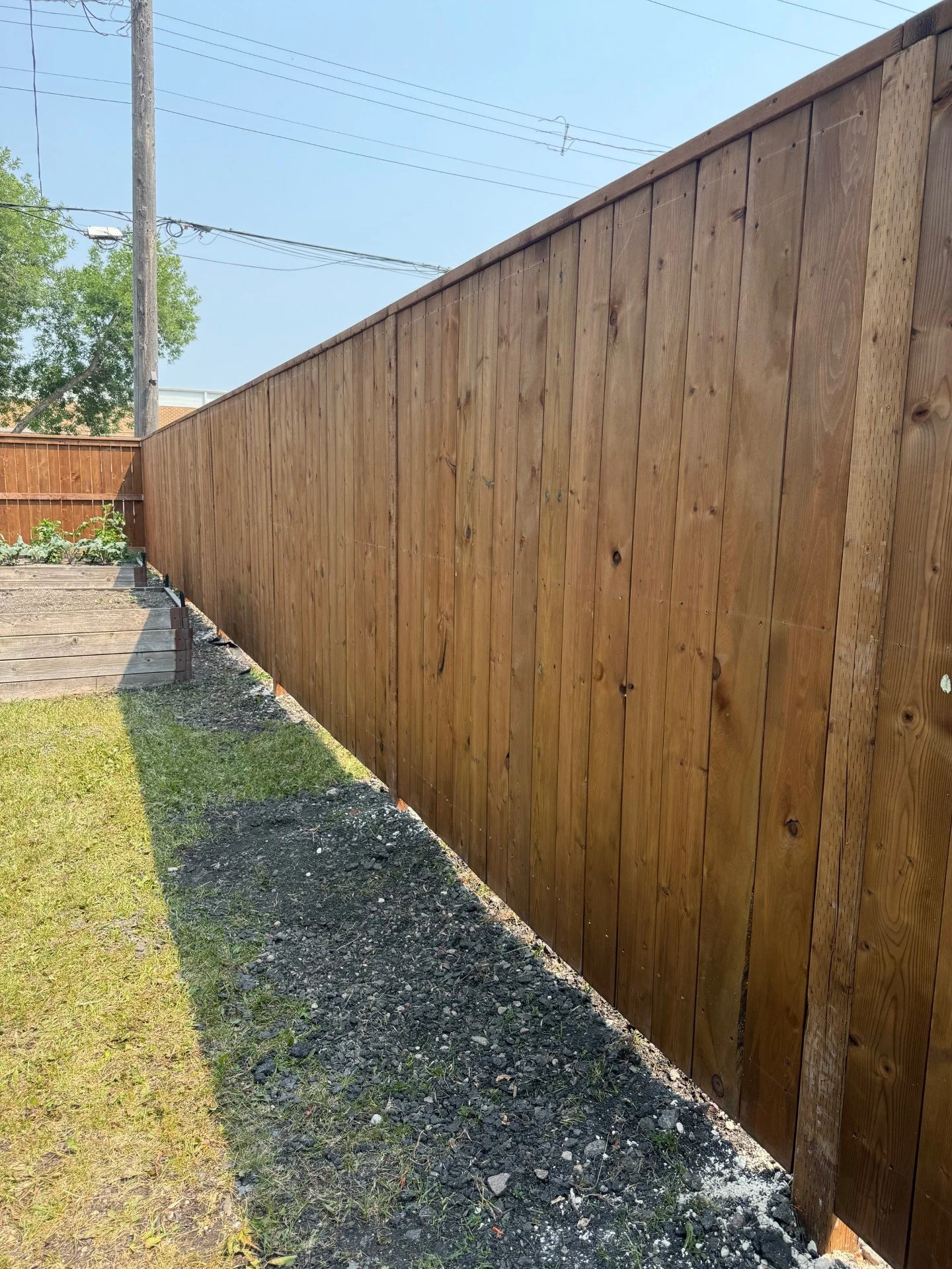 Kathy fence 1.jpg