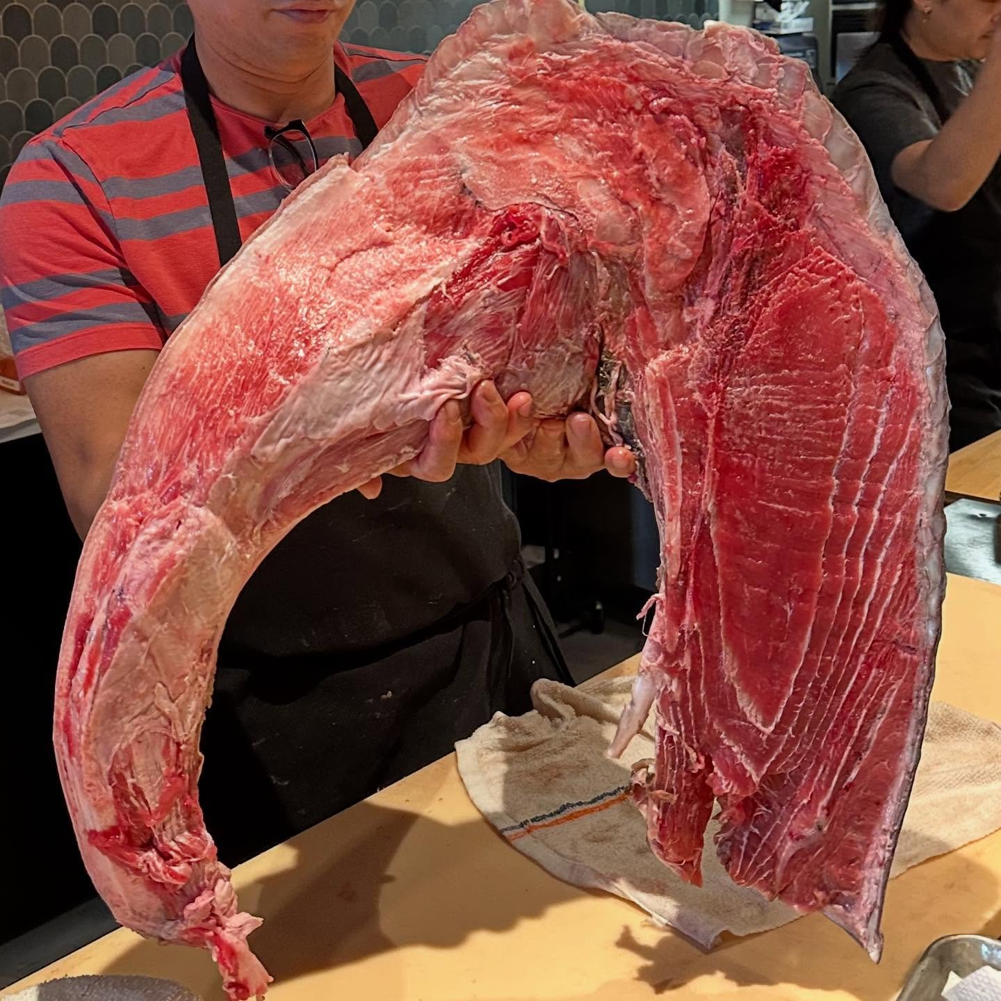 This was just flown in. Who can guess what this is? 😊 #haru #haruomakase #harusushi #columbussushi #fresh #fish #sushi