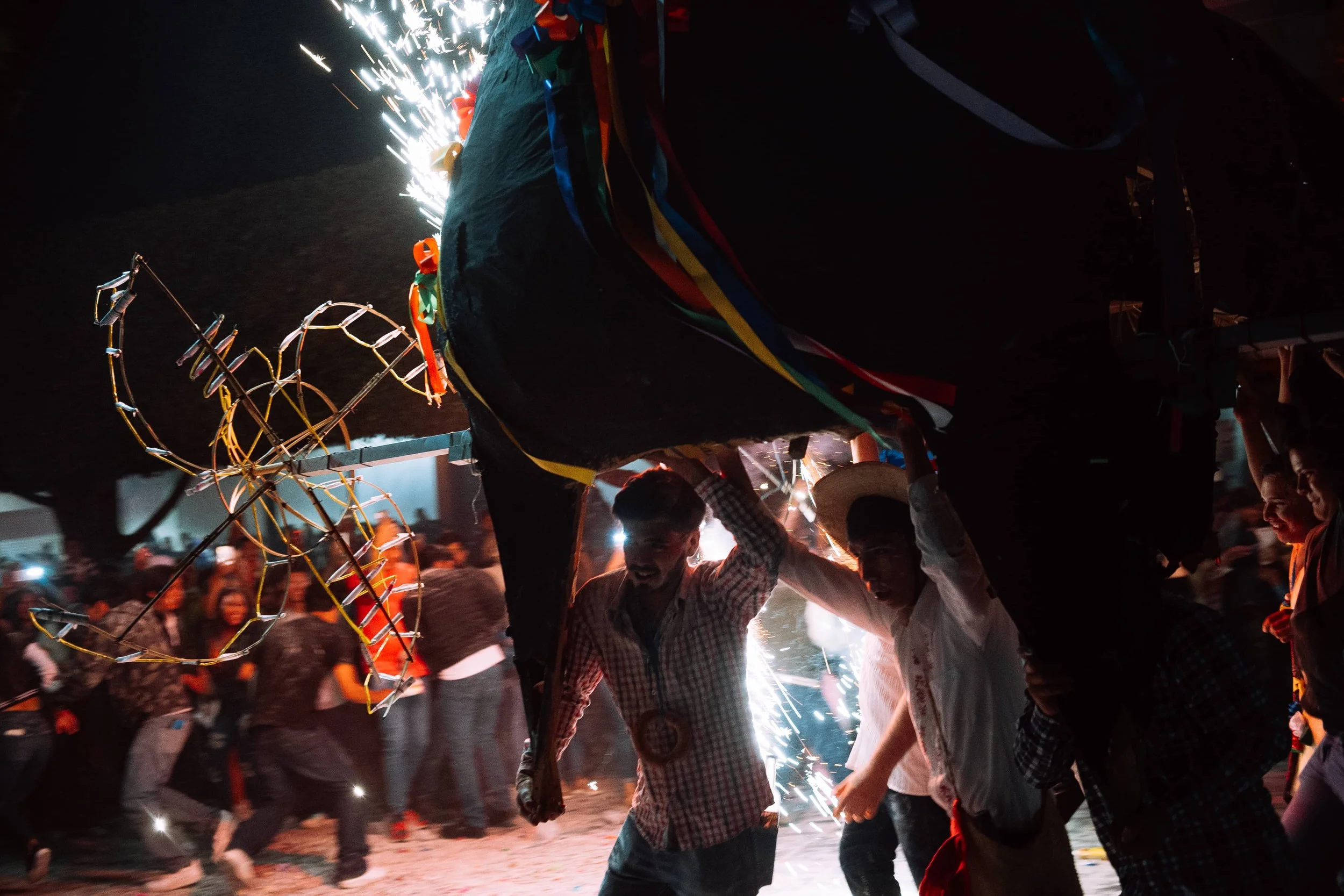 Toritos Carnaval 2025-5.jpg