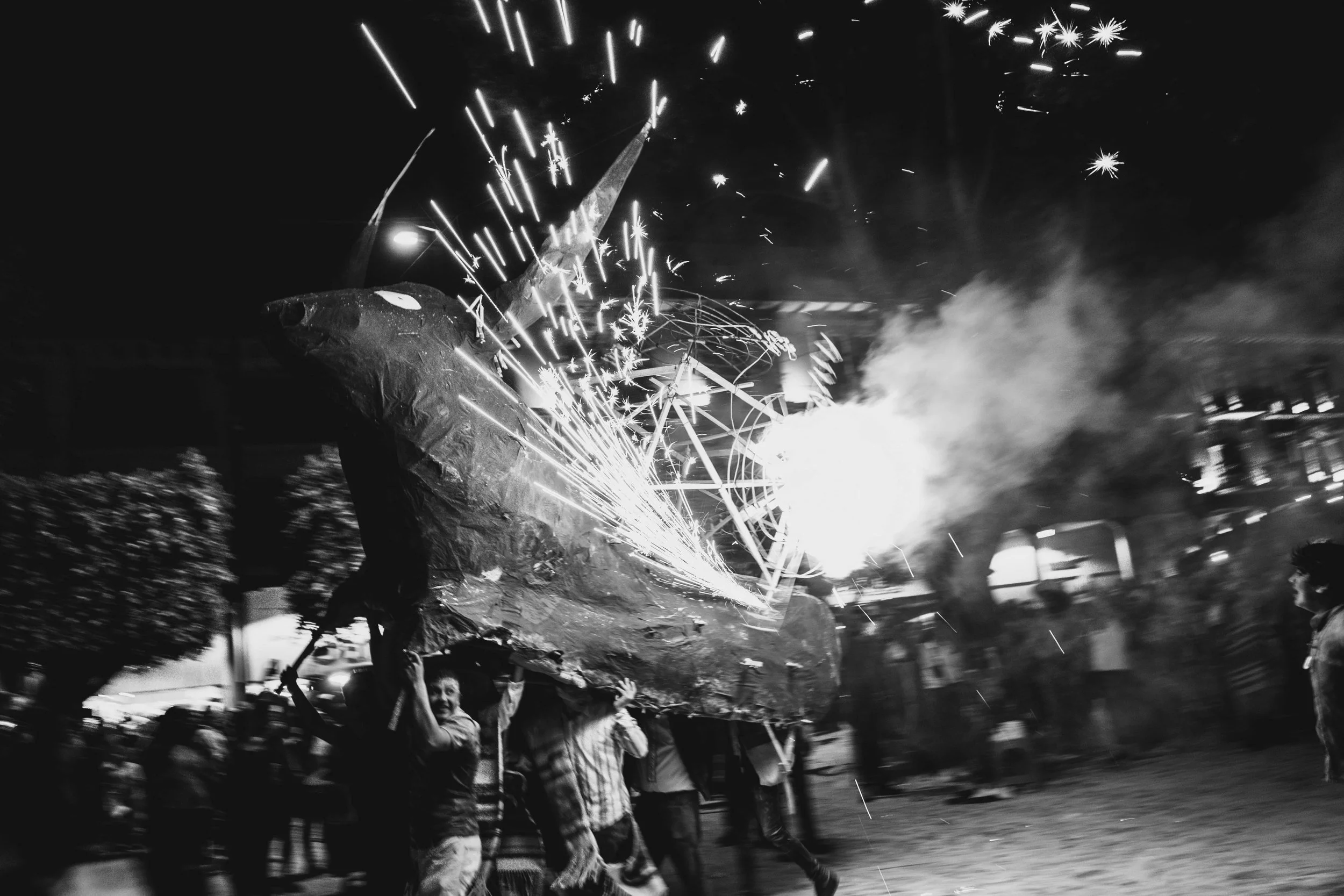 TORITOS CARNAVAL-20.jpg