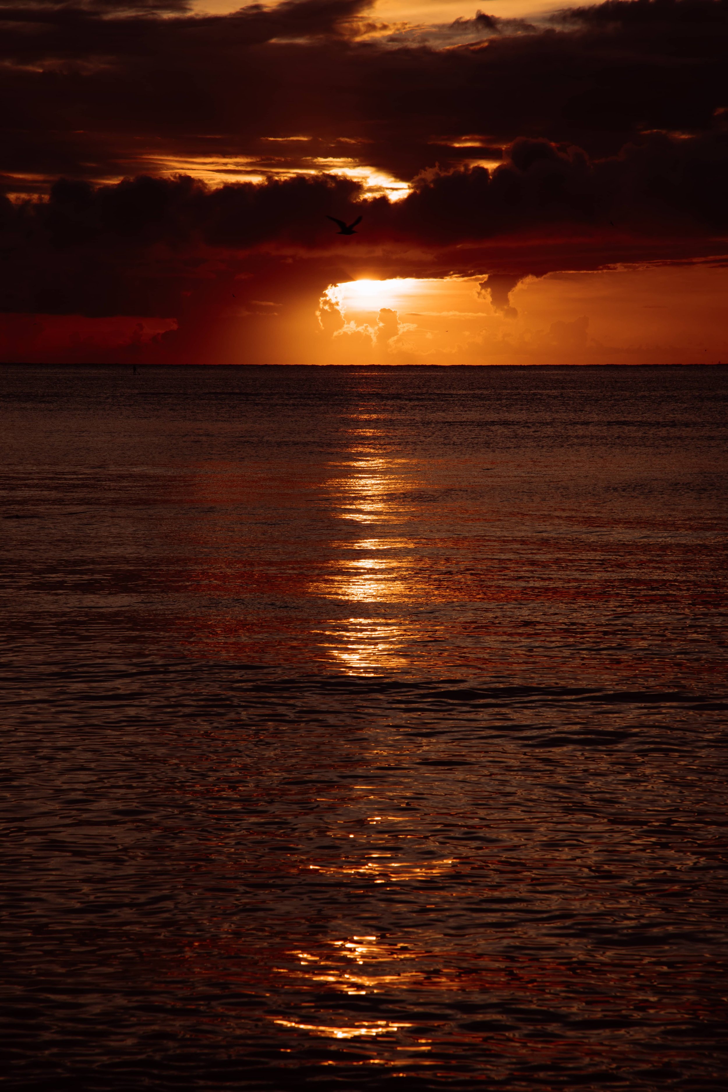 atardecer-en-playa-del-carmen.jpg