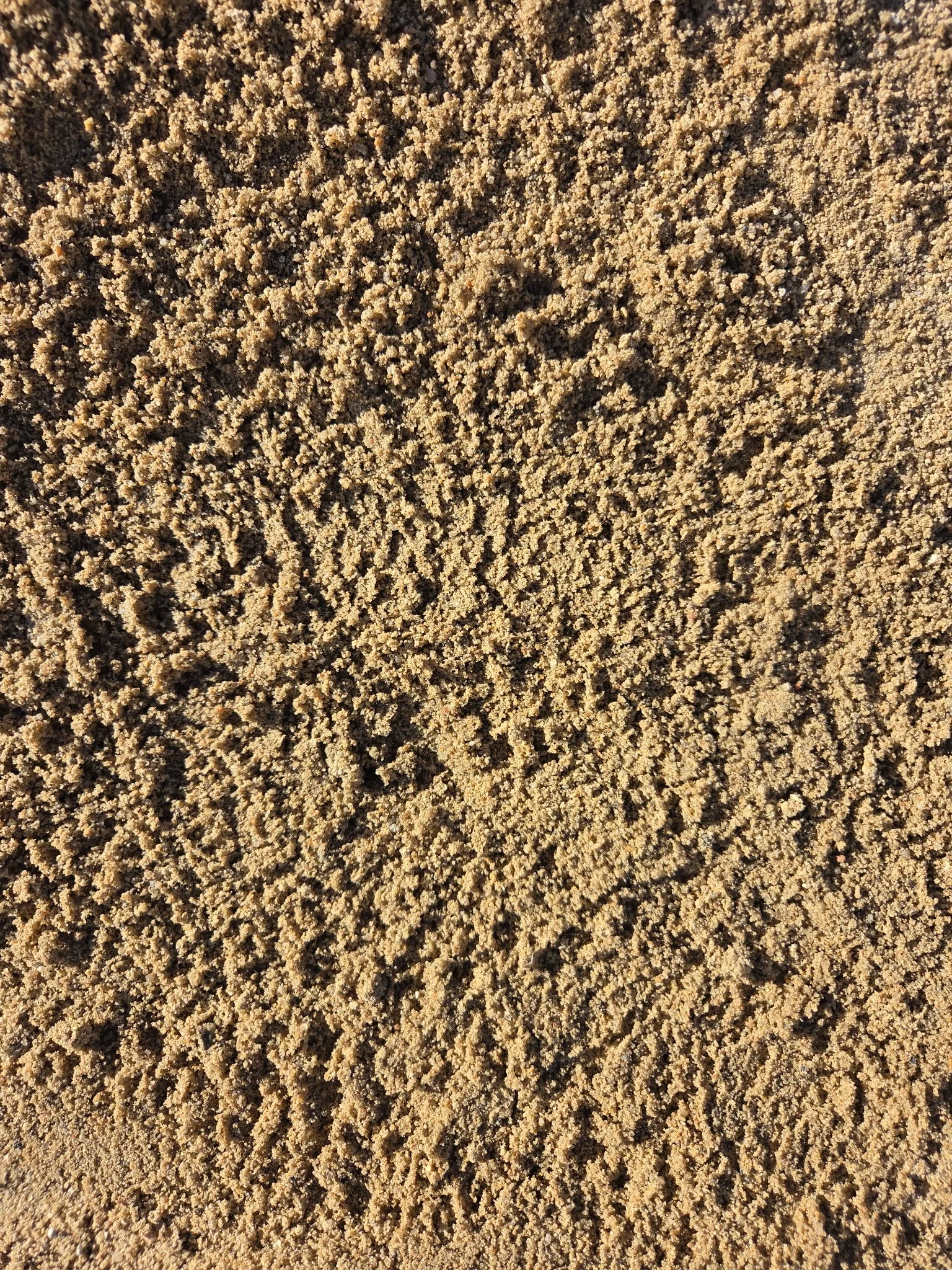 Clean Washed Sand C33