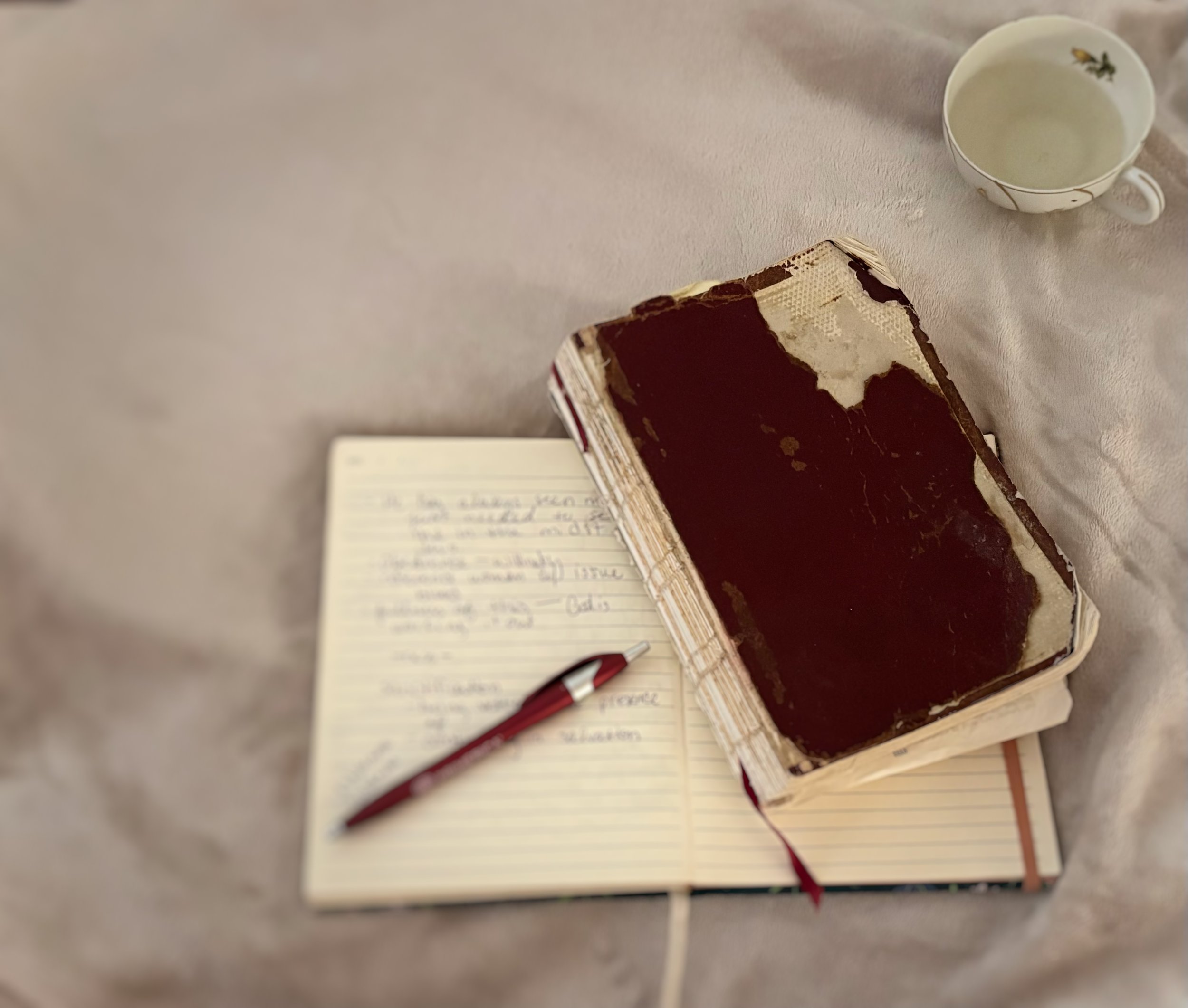 A Quiet Return: Growth &amp; Grace in the Stillness