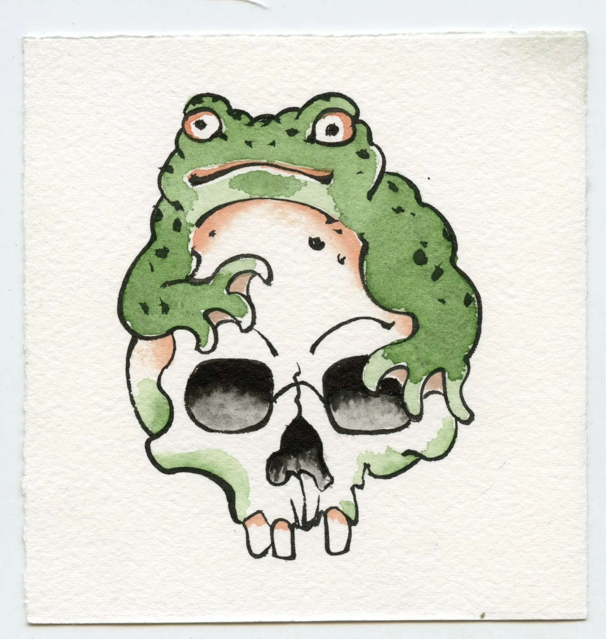 PAINTING_HALLOWEEN_FROGSKULL.jpeg