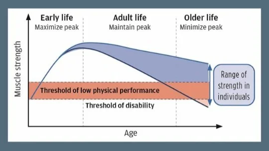 graph showing physical activity in early stages of life will pay dividends in the future