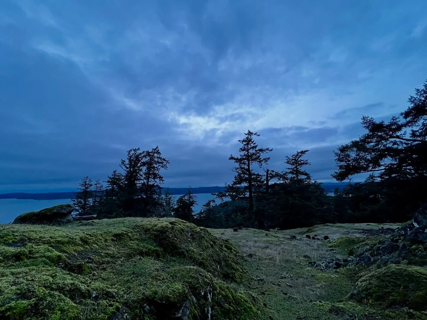 While exploring in the #sanjuanislands and coming up on my first year of being a sole practitioner, I&rsquo;m reflecting back on how grateful I am to do what I love, and more importantly support my amazing clients and community. Let&rsquo;s keep doin