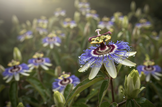 Screenshot 2026-01-16 at 12.47.36 pm.png