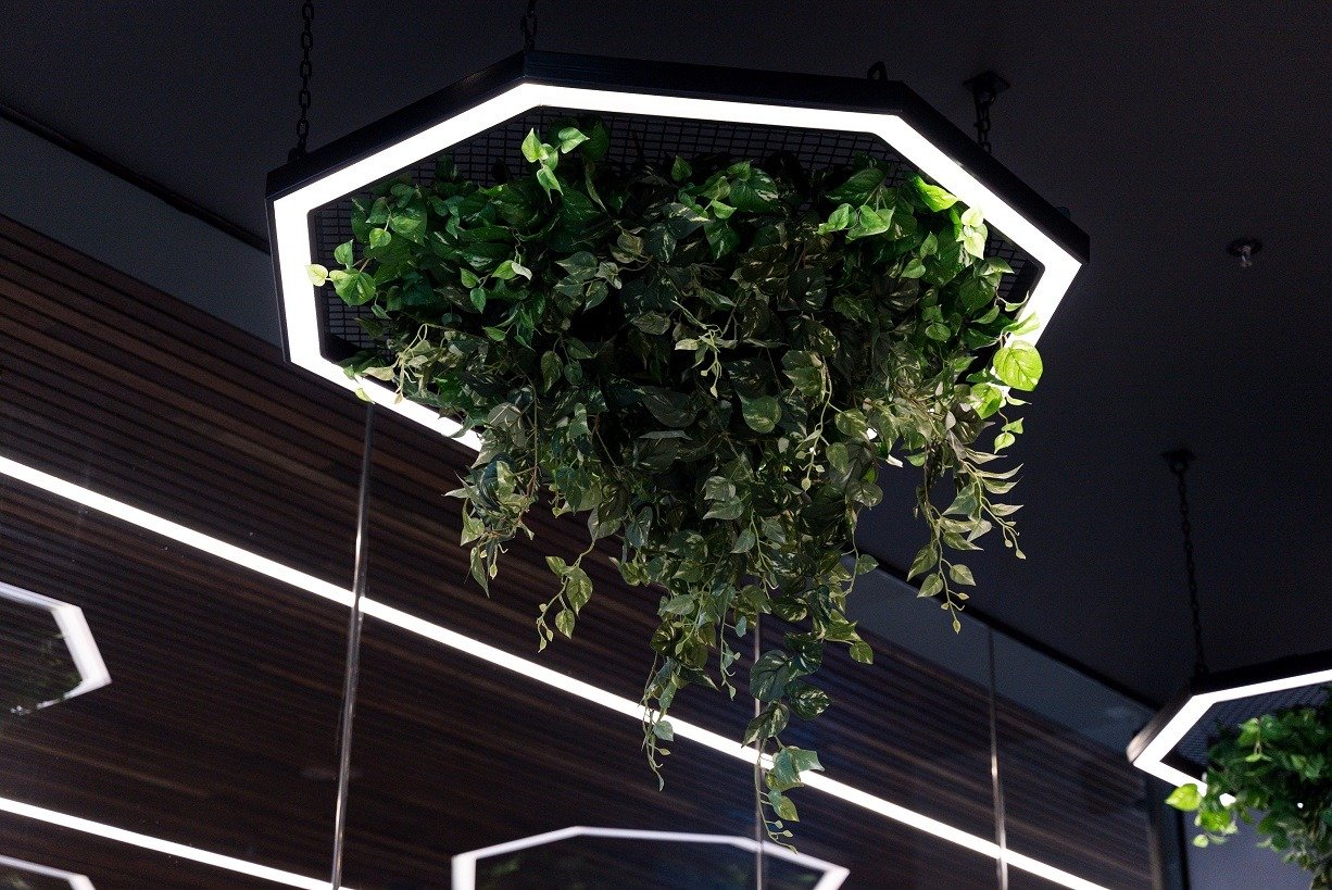 Luxe Commercial Projects Fat Jak's 6.jpg