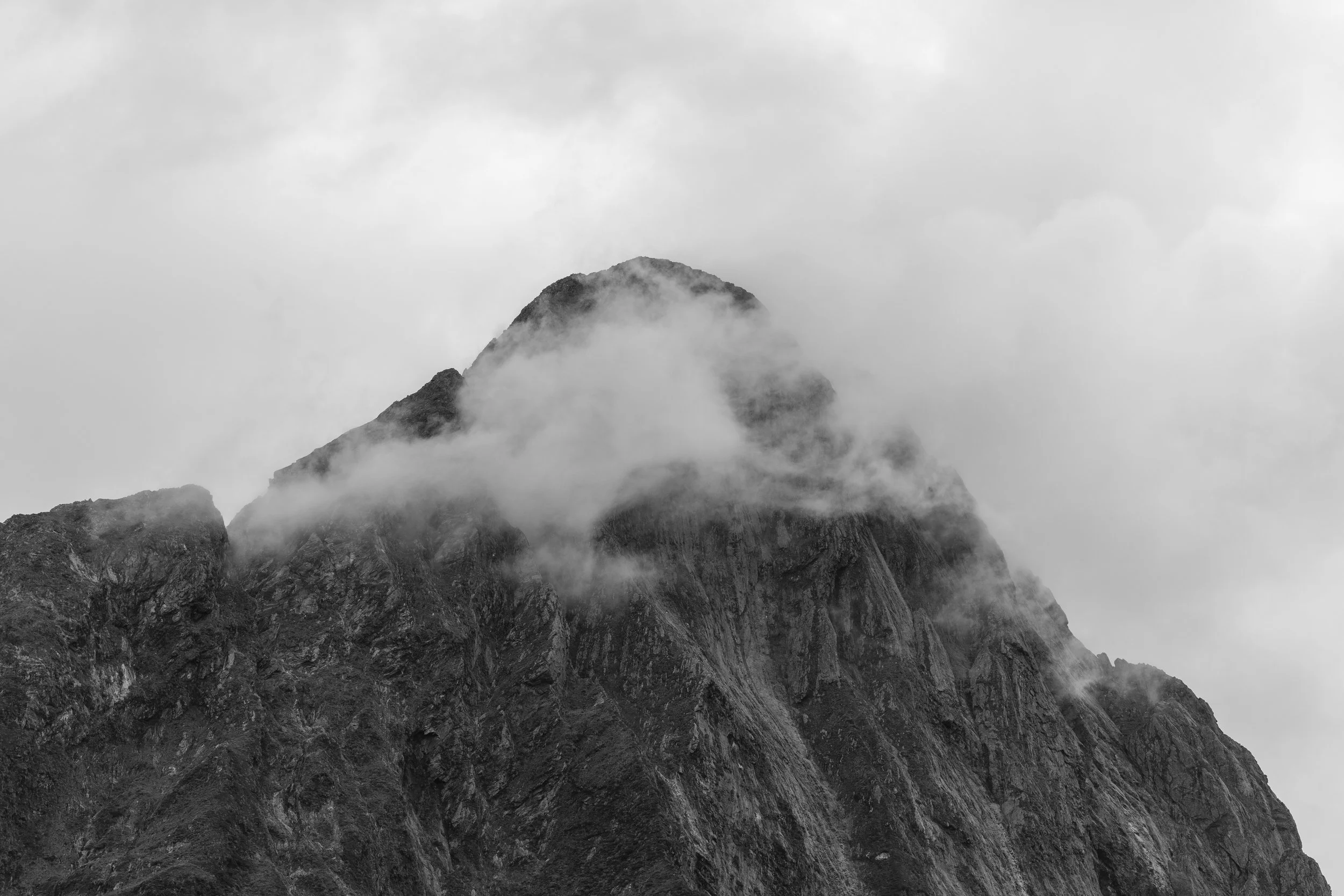 _MG_3711.jpg