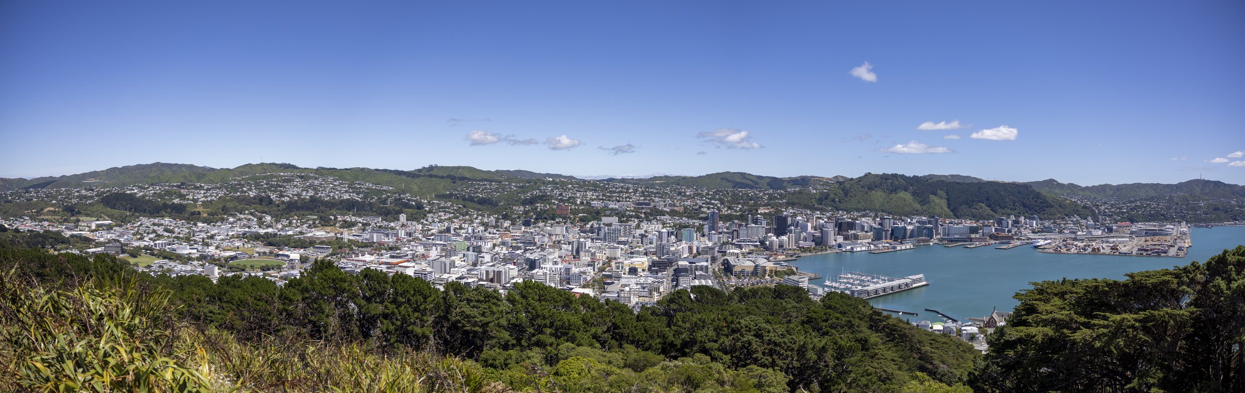 _MG_2234-Pano.jpeg