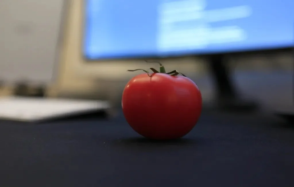 The Pomodoro Technique — Respect the&nbsp;Tomato!