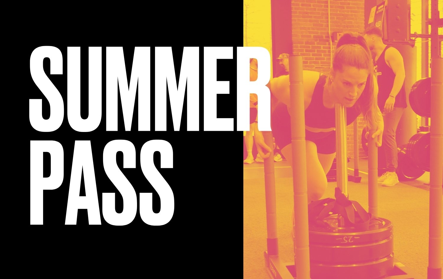 Backyard Summer Pass