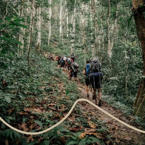 WWU-Journey-01.jpg
