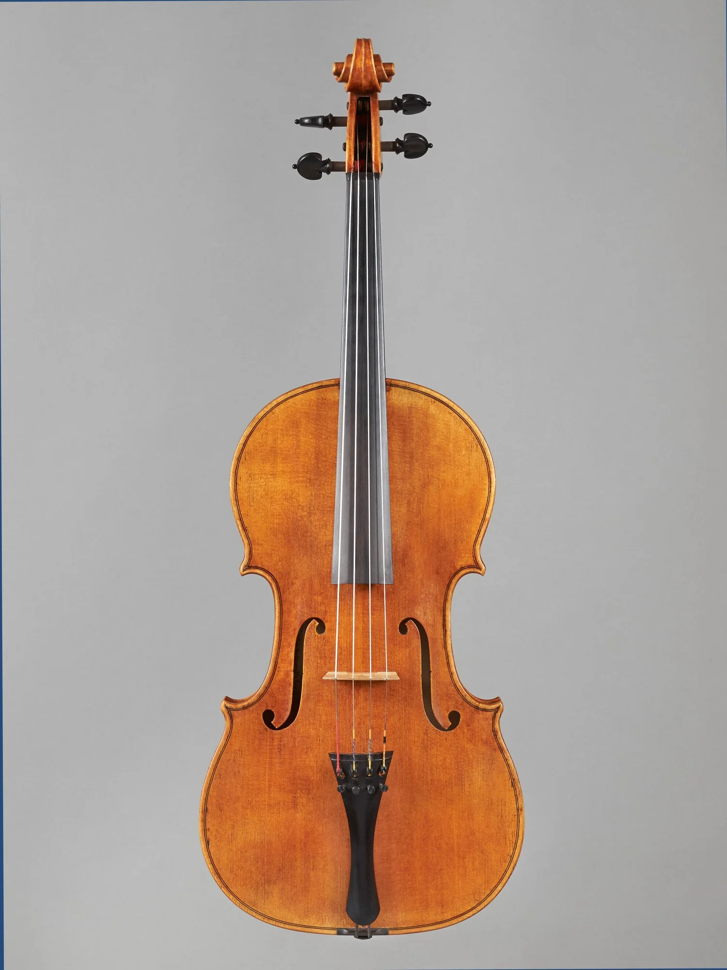 Viola 2014 41.5 - Martin Schwalb - 41.5 Bratsche 2014v.jpg