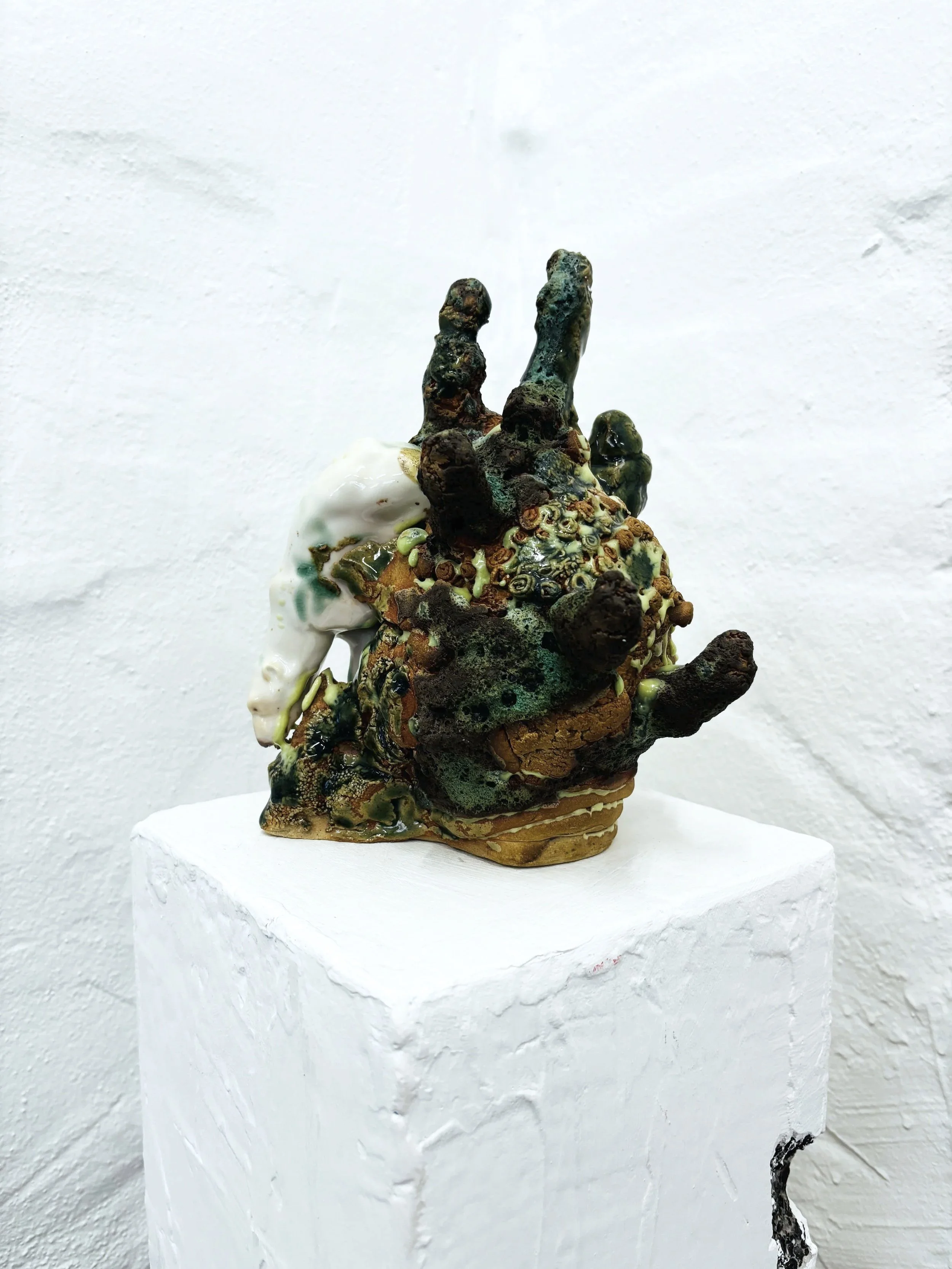 HALFDAN JOHAN: CACTUS