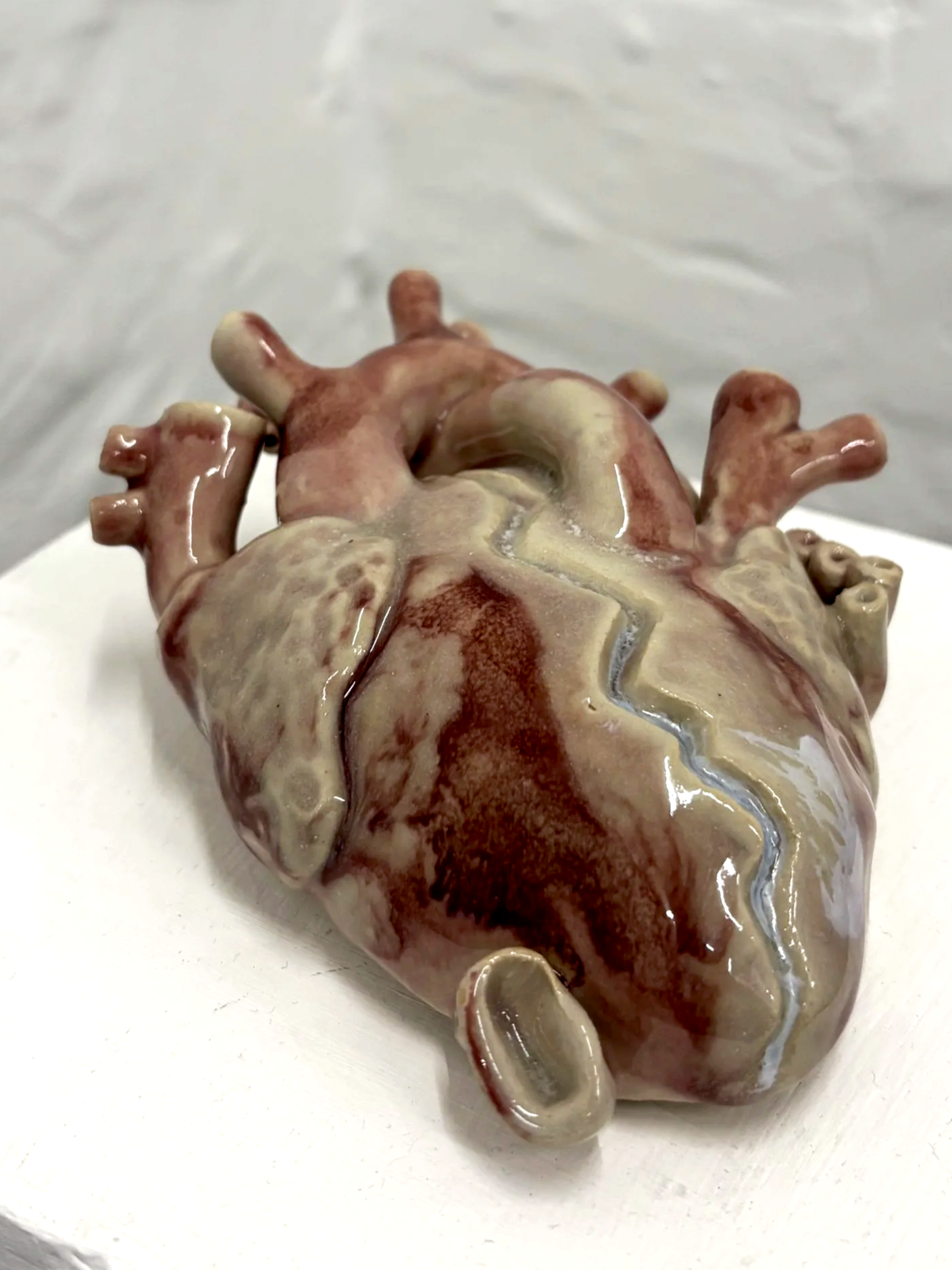 IMG_1904.png