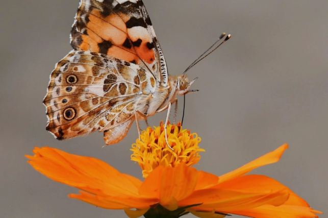 Letting Go to Let In:  Manifesting into 2026