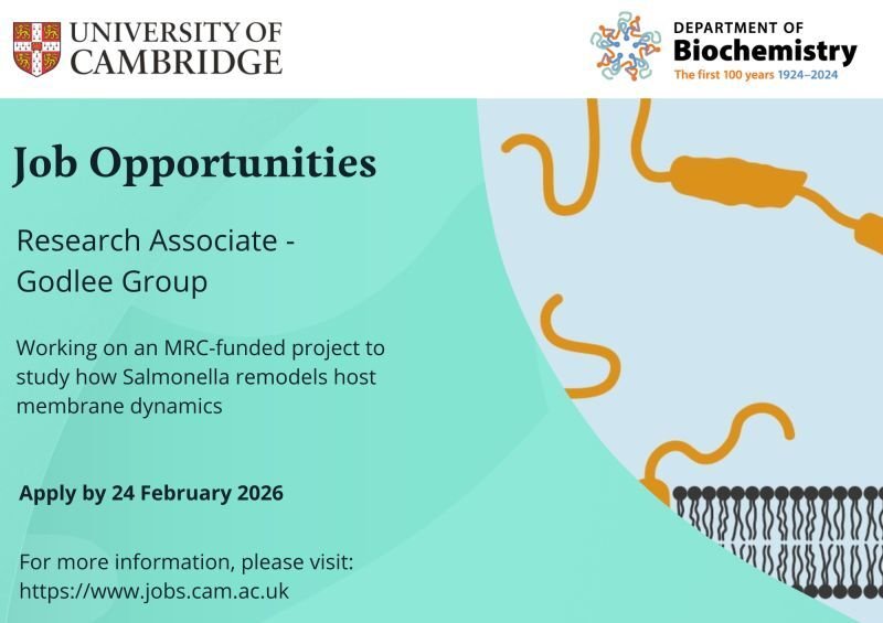 We are recruiting a postdoc! Click to find out more information.