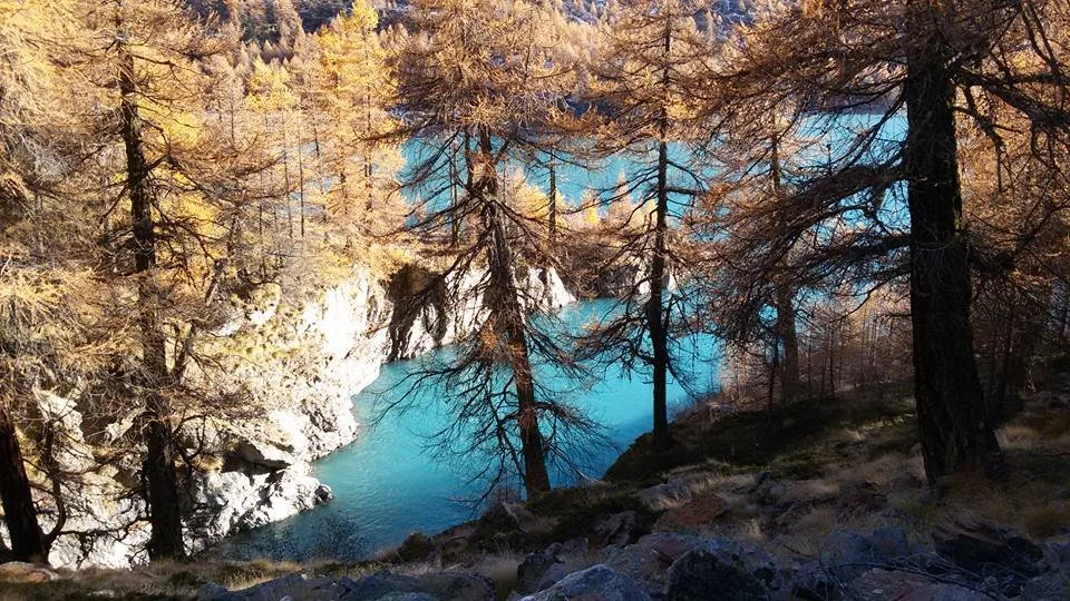 1610982_10206474366129315_6058582328555709133_n.jpeg