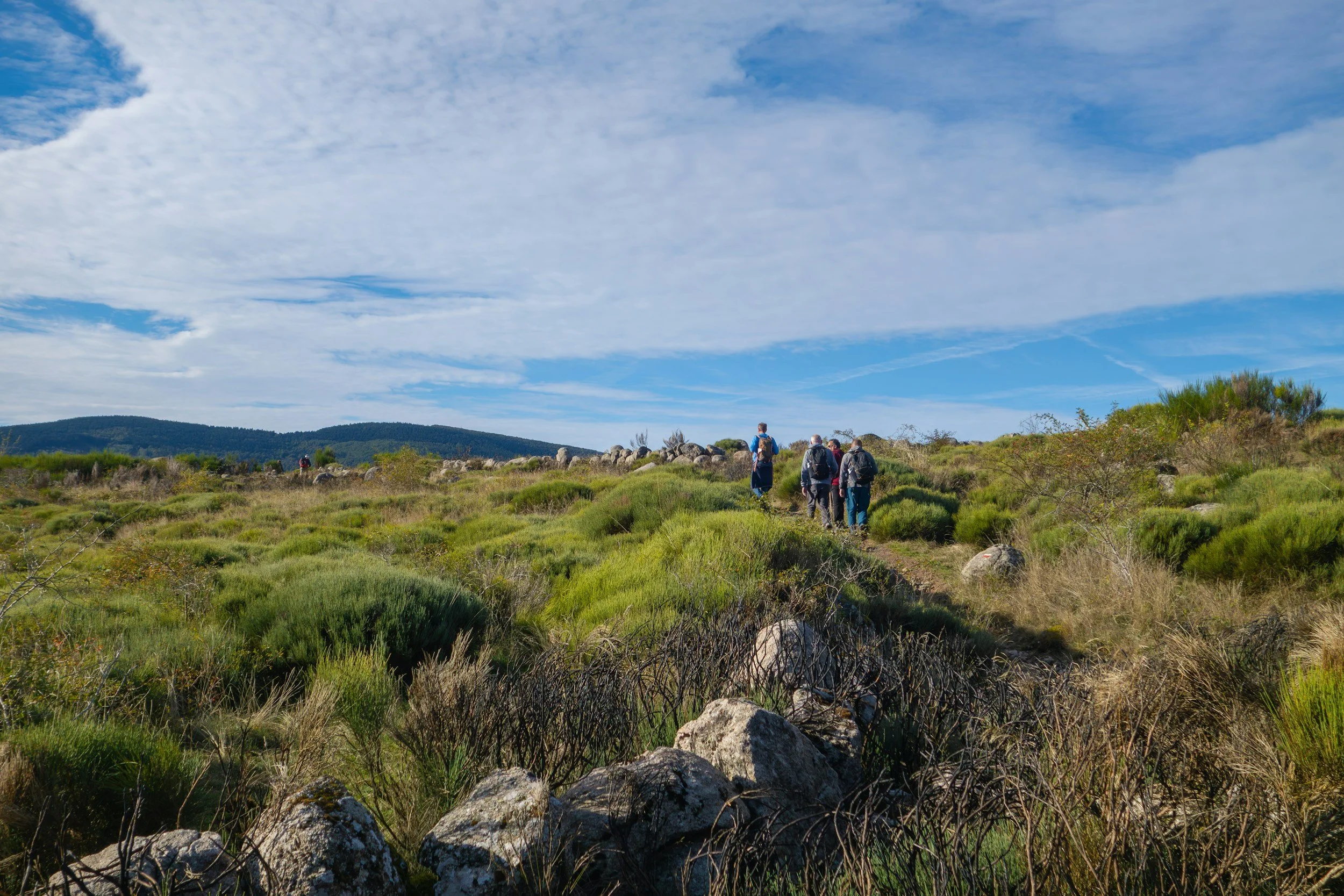Walking group in the mountains Italy