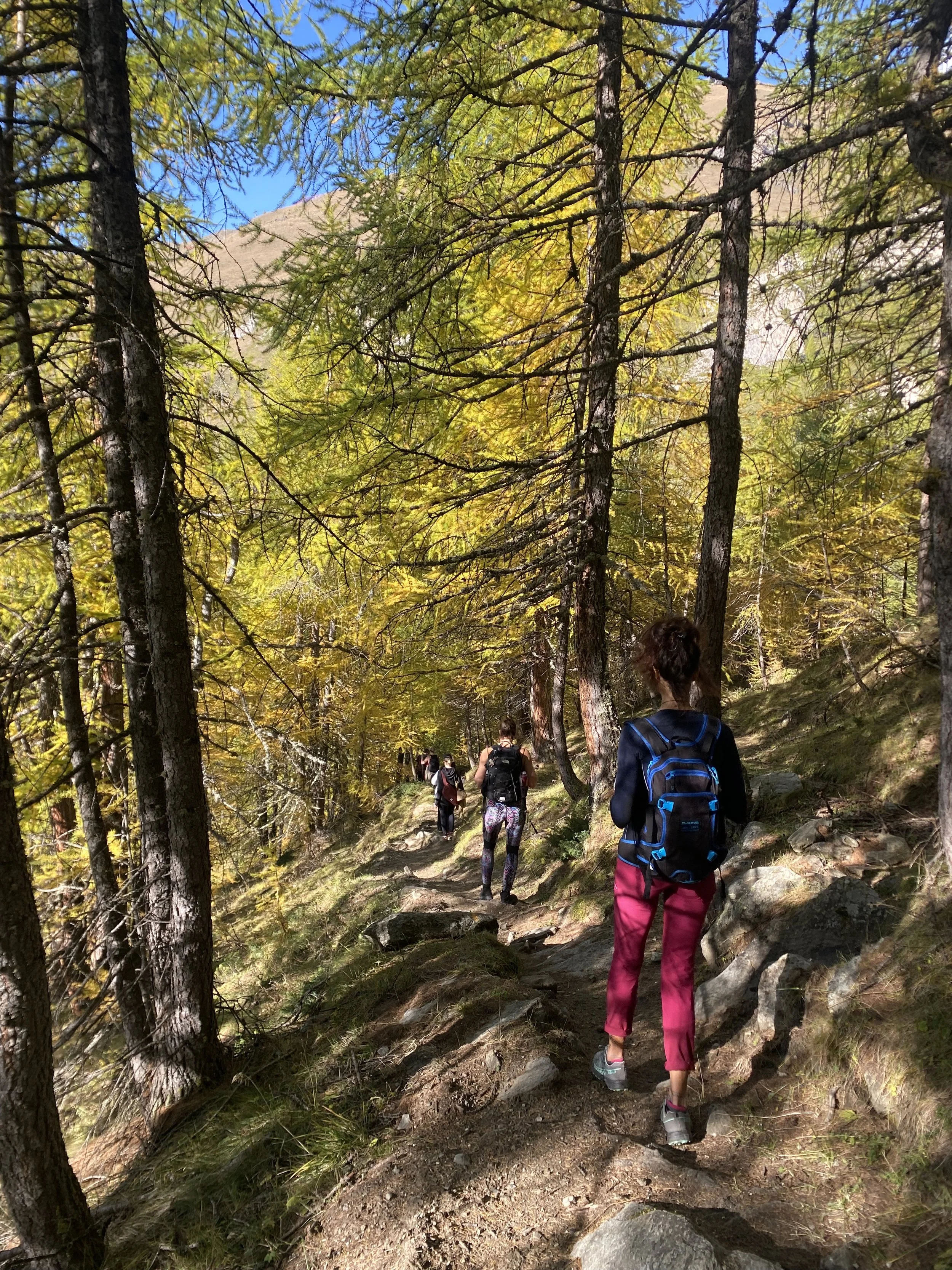 foliagehikingitaly.jpeg