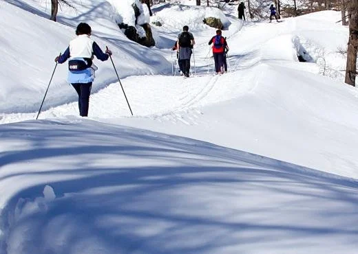 Sci cross country Brusson.jpg (Copy)