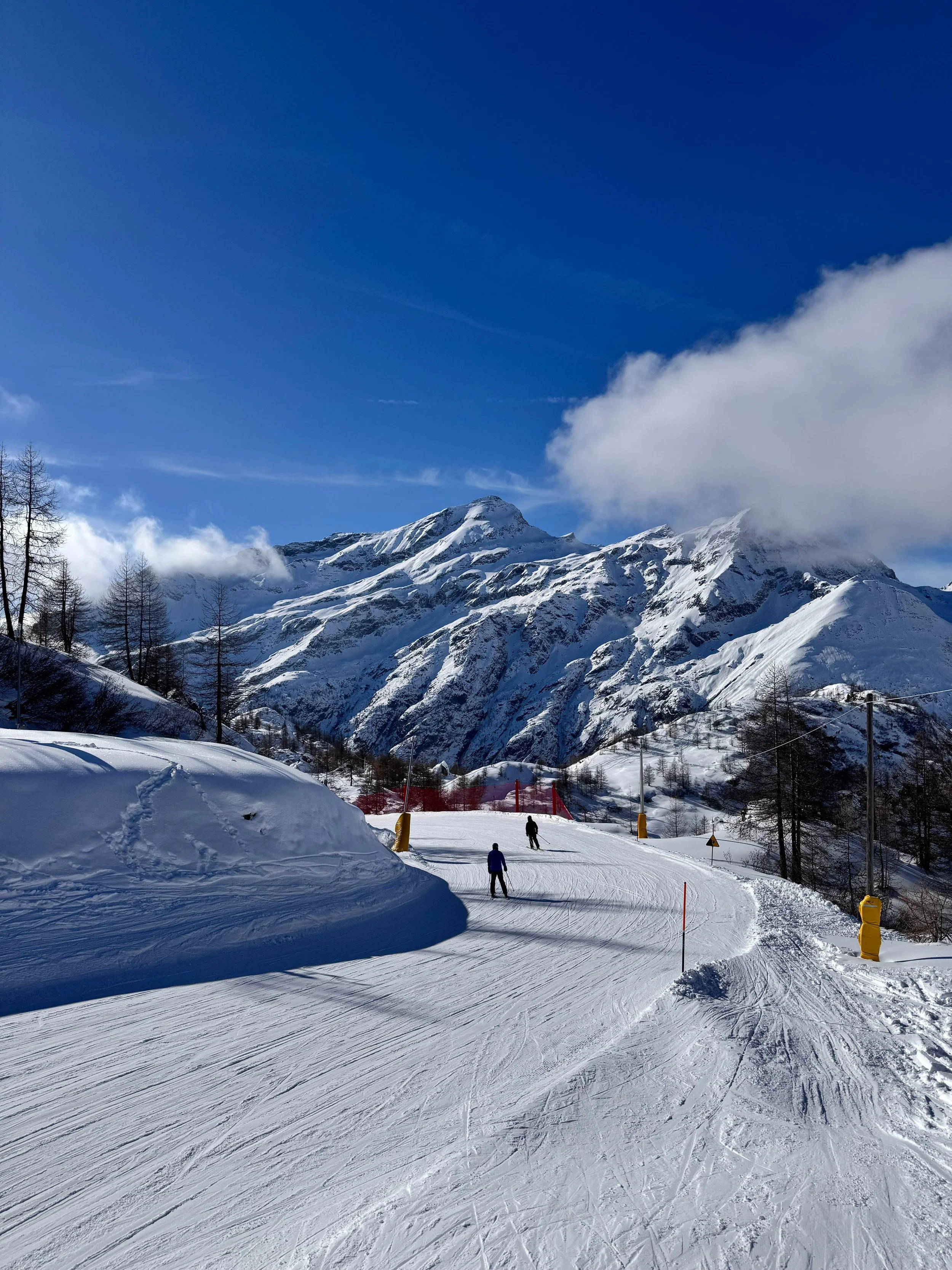 e1507c44-91bf-498f-a9e1-db1f389fd620.JPG (Copy)