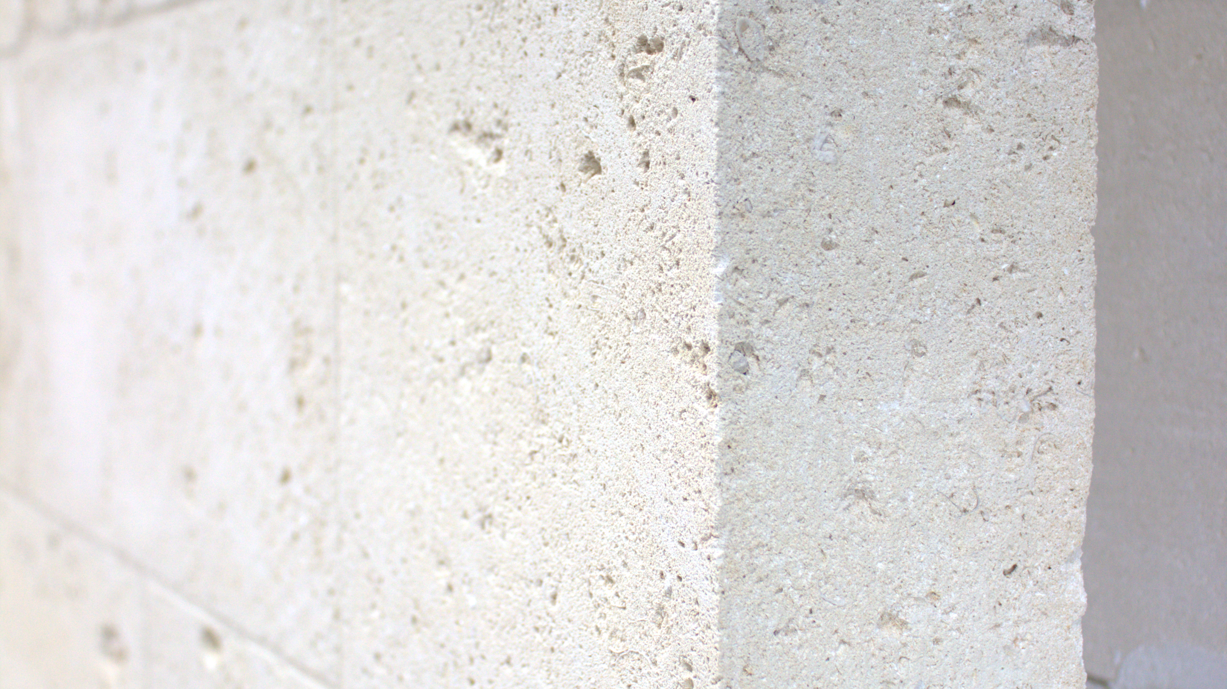 Untitled+design+(4).webp