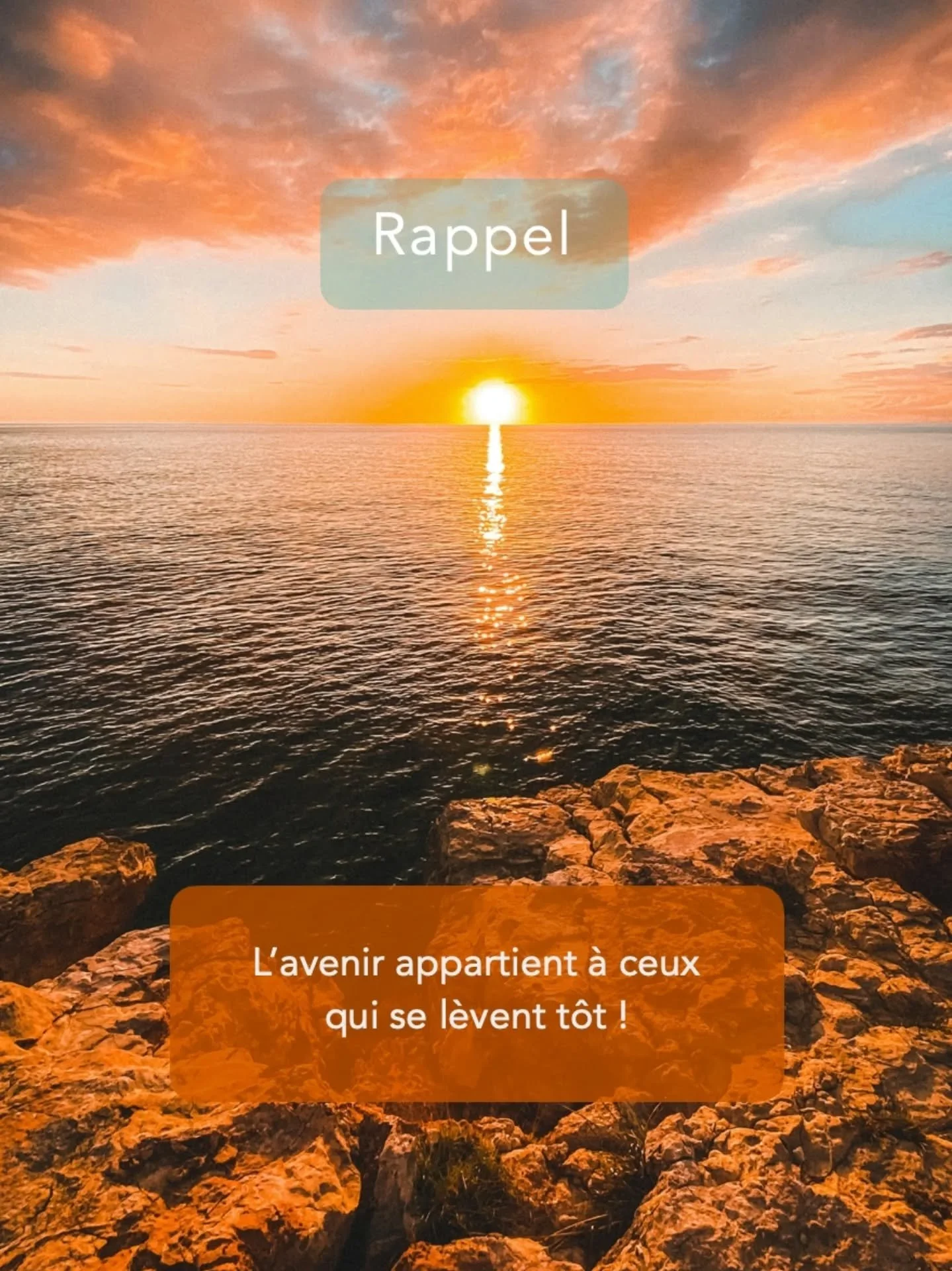 Parce qu'il n'est jamais trop t&ocirc;t pour se plonger dans un bon livre ! 
Et vous, vous &ecirc;tes plut&ocirc;t lecture du matin ou du soir ?

www.leseditionsaupluriel.com
www.atelier-pluriel.com

#lire #lirepourleplaisir #lirelirelire #livre #liv