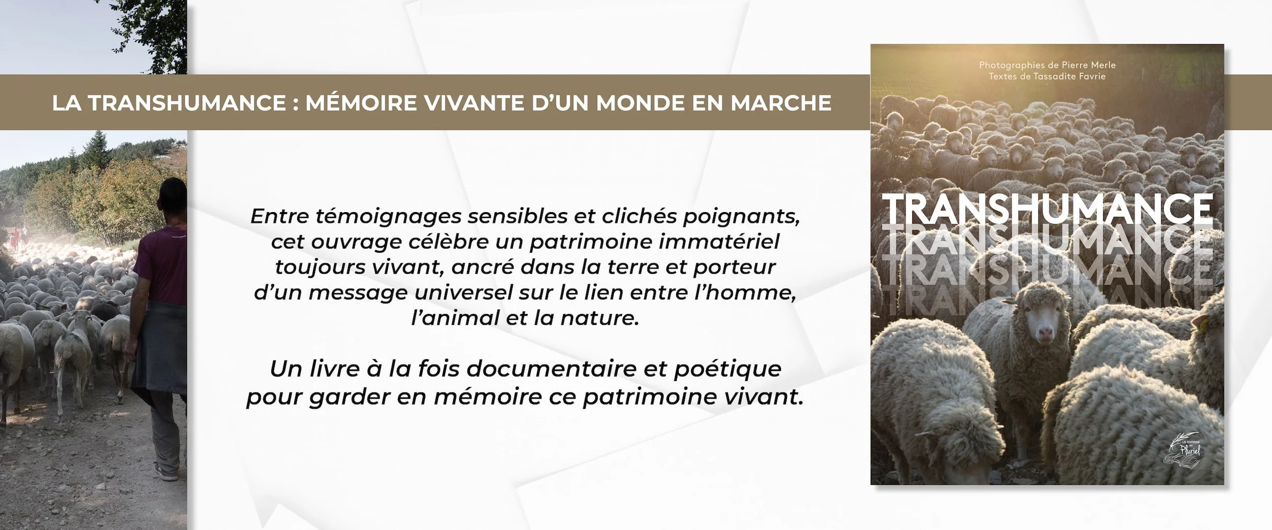 Banniere Site LEAP 12252.jpg