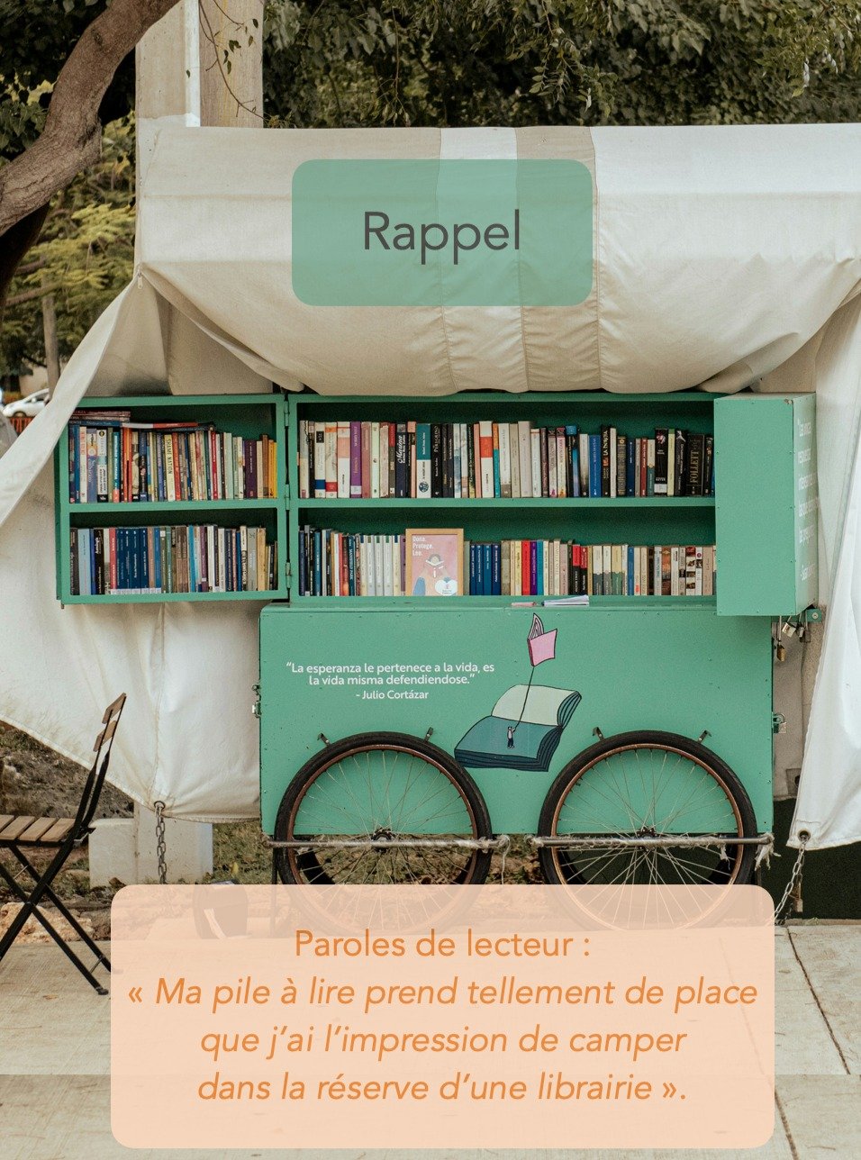 Et vous, quels livres vous attendent dans votre pile &agrave; lire ?

#lire #livre #livres #livrestagram #nouveaulivre #read #reading #readingaddict #readingaddiction #readmorebooks #book #books #bookstore #booksofinsta #booksofınstagram #citationfra