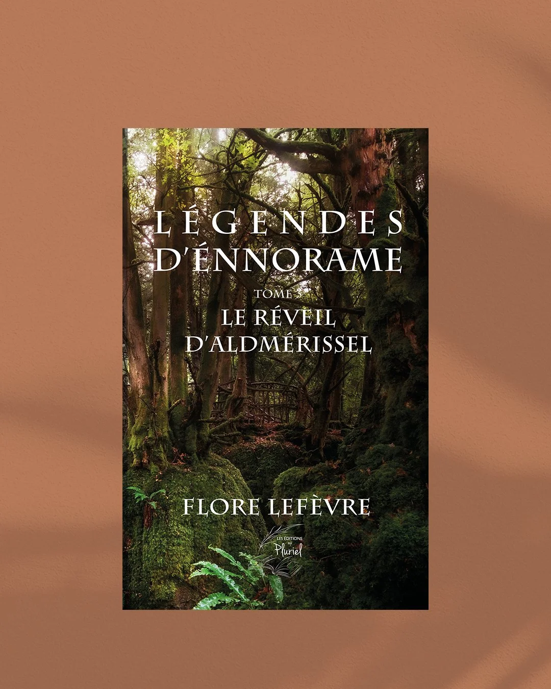 Le r&eacute;veil d&rsquo;Aldm&eacute;rissel par Flore Lef&egrave;vre

Pour en savoir plus :

La collection, la s&eacute;rie : Imaginaire, L&eacute;gendes d&rsquo;Ennorame, tome 3

Le genre : Litt&eacute;rature fran&ccedil;aise - fantasy m&eacute;di&e